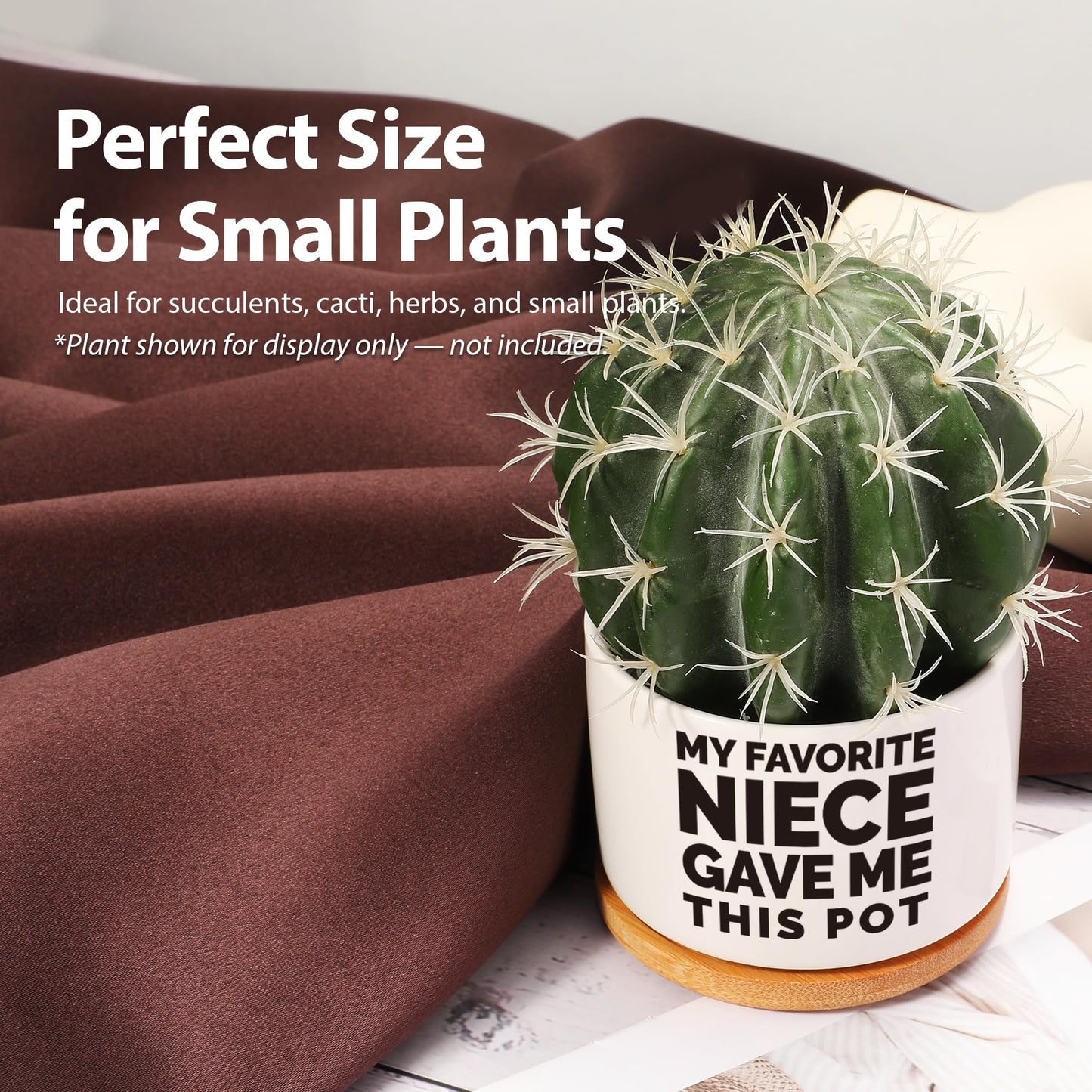 Loovelo My Favorite Niece Gave Me This Pot Succulent Plant Pot with Bamboo Tray Aunts Auntie Uncle Gifts Mother's Father's Day TIO Tia Home Office Decor Plant Lover 3.5 Inch White (No Plants)