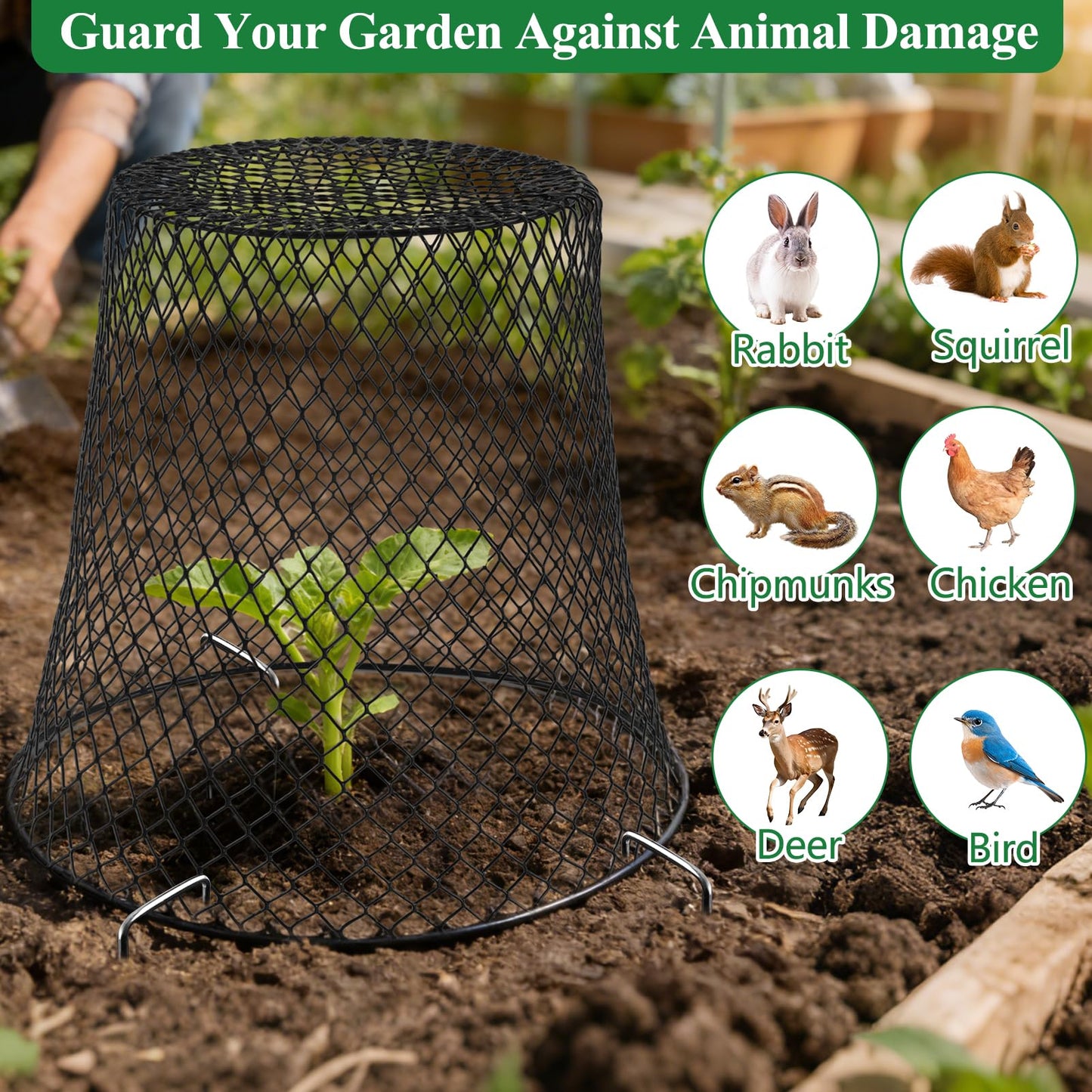Cyrico 12 Pcs Plant Protectors from Animals, Chicken Wire Cloche Kit with Stakes and Labels, Metal Mesh Garden Cloches Keeps Out Rabbits, Squirrels and Birds for Seedlings Vegetables Flowers Outdoor