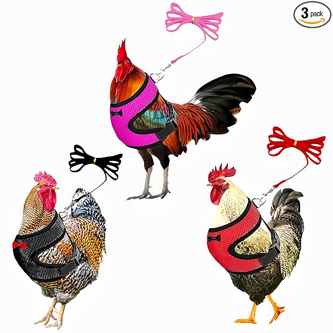 3 Pack Chicken Harness and Leash Set Adjustable Hen Vest with Matching Belt Breathable Mesh Training Harness Pets Leash for Hens Duck Goose Small Pet-Black&Red&Pink,L
