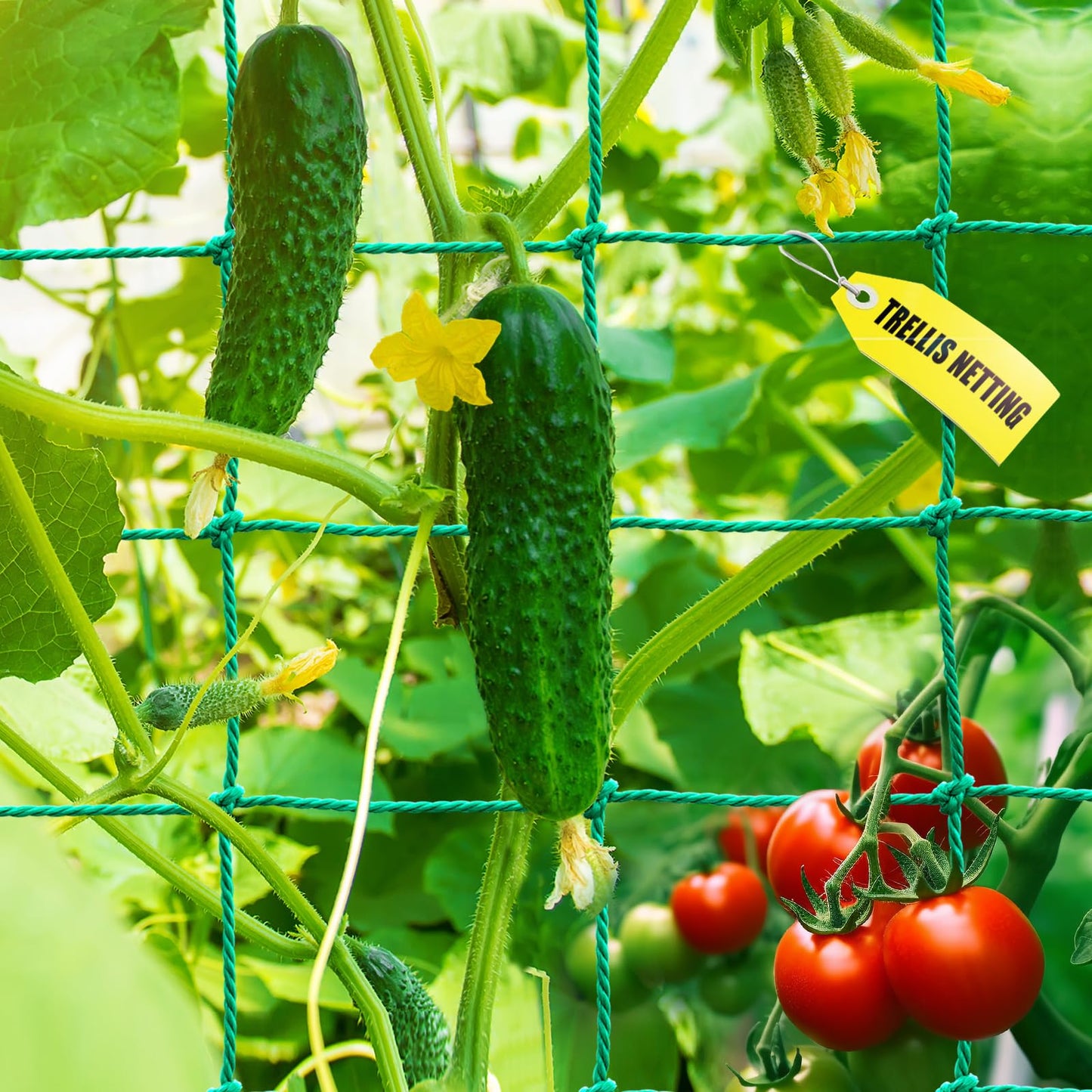 Trellis Netting, Heavy Duty Garden Netting for Trellis for Climbing Plants Outdoor, 16.5x6.6Ft Plant Netting for Cucumber, Tomato, 27 Strands & 4x4 IN Mesh, Grow Net for Vine, Fruits, Vegetables, Bean