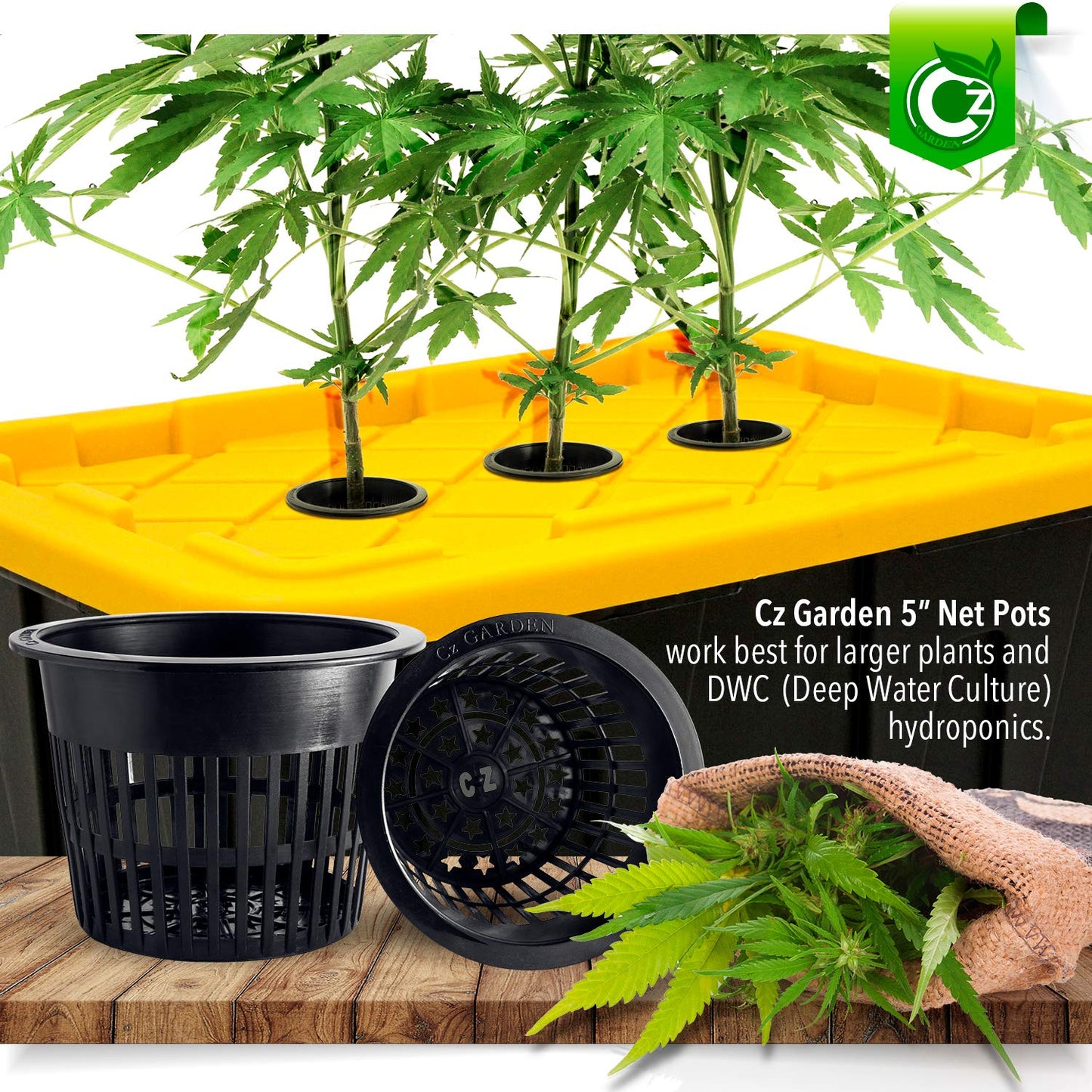 5 inch Net Pots Heavy Duty Round Cups Wide Rim Design - Orchids • Aquaponics • Aquaculture • Hydroponics Slotted Mesh (Cz All Star 10 Black Pots)