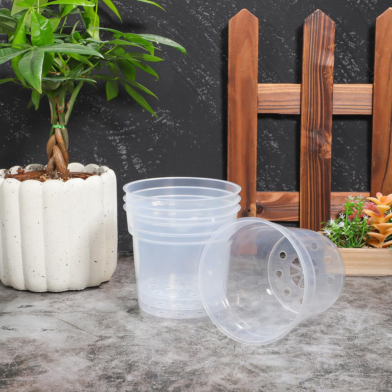 Totority Clear Orchid Nursery Pots 10-Pack 3.5-Inch Transparent Root-View Plastic Cups with Drainage Holes for Healthy Seedlings, Reusable Indoor & Outdoor Planter for Orchid Growers