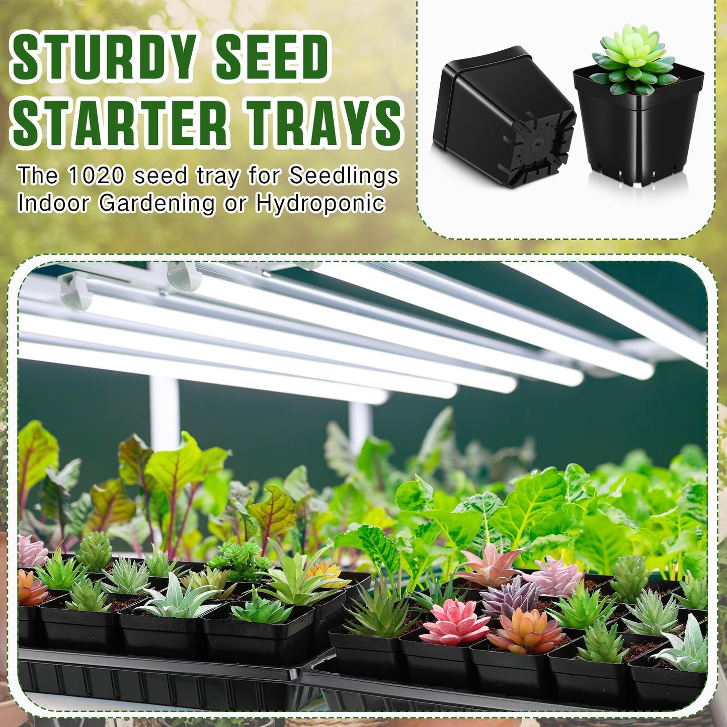 Barydat 6 Set Seed Starter Trays with 108 Pcs Square Nursery Pots 20 x 10 Inch Microgreens Plant Growing Large Seed Starting Trays Square Plant Pot for Seedlings Indoor Gardening or Hydroponic