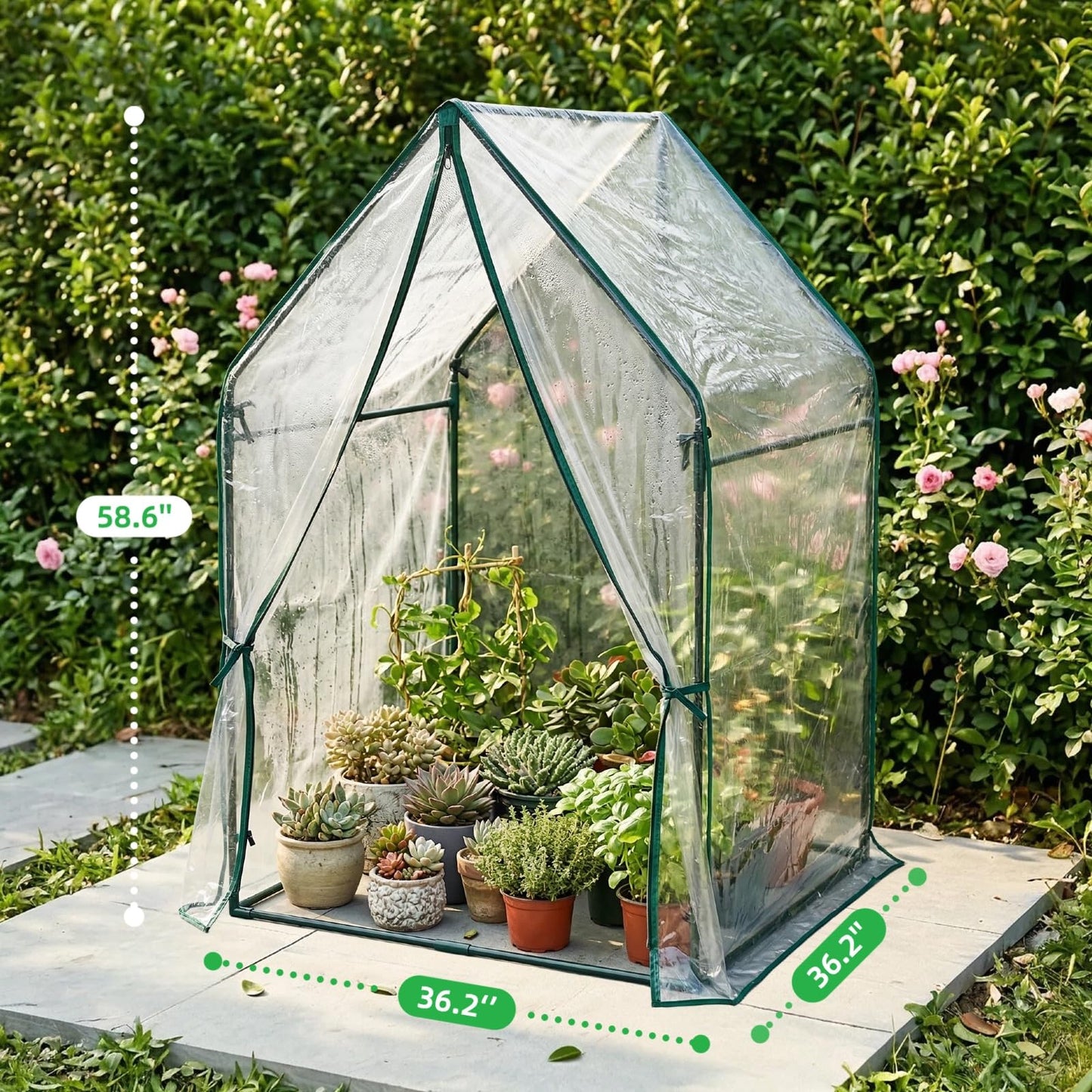 GreenGiggle Portable Greenhouse for Outsides, 36x36x59 Inch Green House Tent with PVC Cover, Garden Plant Protector with Zippered Door for Vegetables Flowers Fruits Herbs