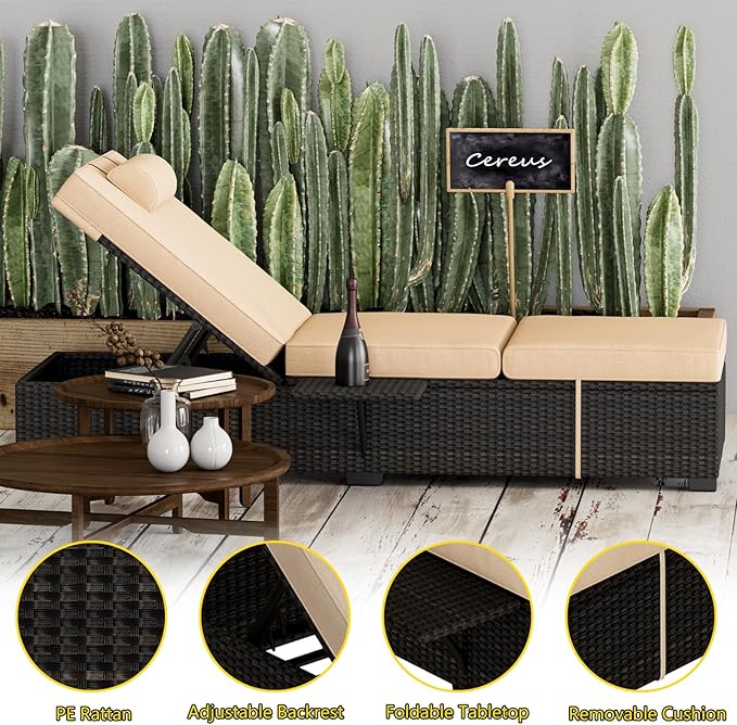 GAOMON Chaise Lounge Chairs Set of 2, Outdoor PE Rattan Chaise Lounge Chair
