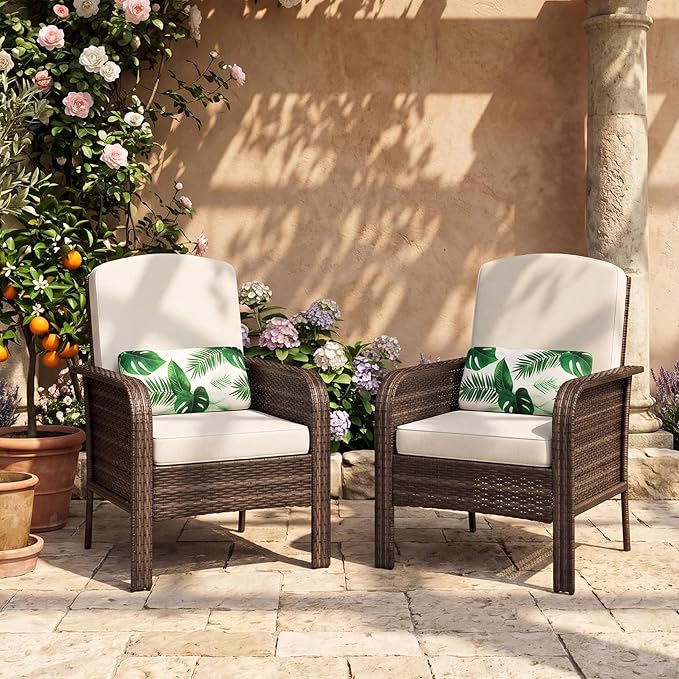 2-Piece Outdoor Patio Furniture Set, All-Weather Rattan Chairs