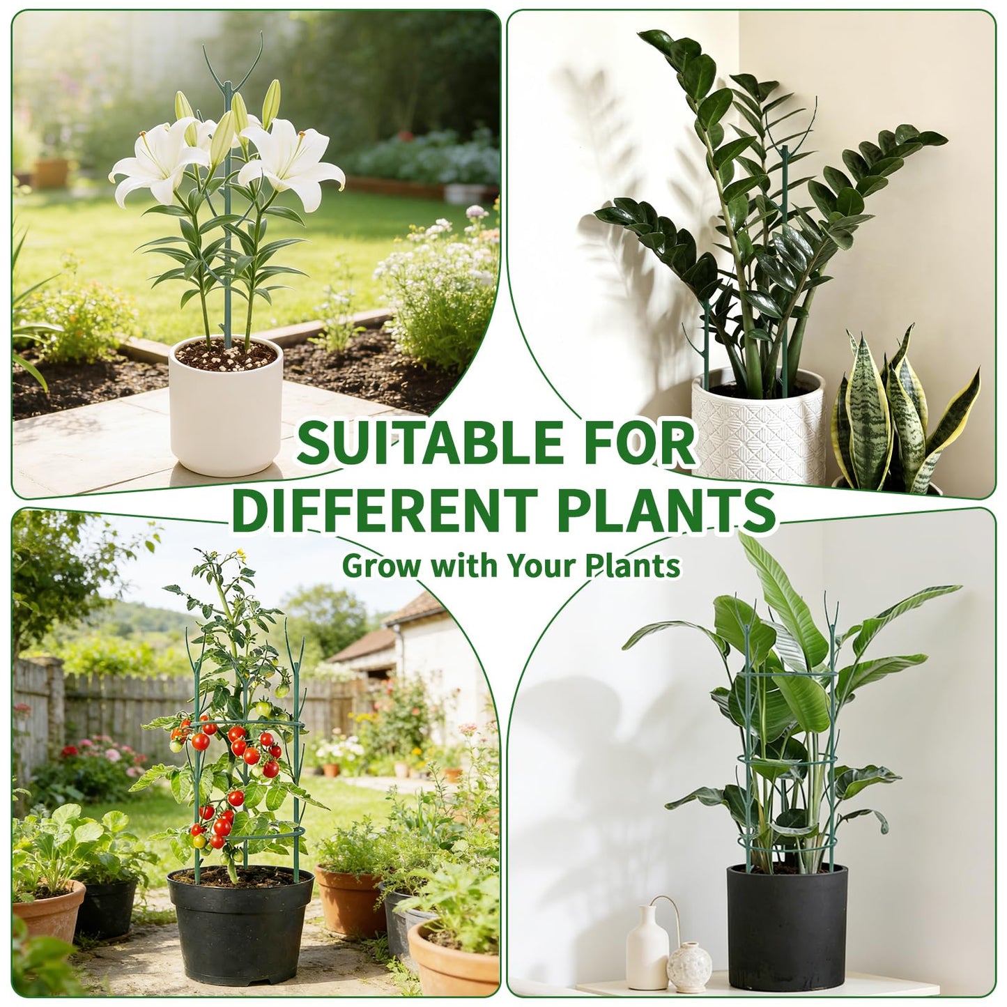 SHAOKAOLU 30Pcs Plant Stakes for Indoor Plants, Stackable Monstera Stake with Stem Supports & Garden Wire for Monstera, Pothos, Money Plant, Outdoor Plants