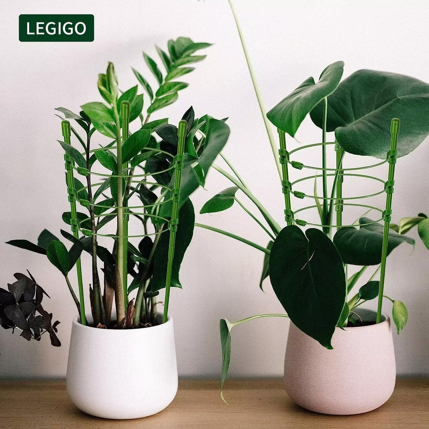 Legigo 3 Packs Plant Support Cages Tomato Cage for Garden- 18 Inch Adjustable Garden Cucumber Trellis Plant Stakes, Trellis Support Rings for Climbing Plants, Pots, Indoor Plants with 10 Plant Clips