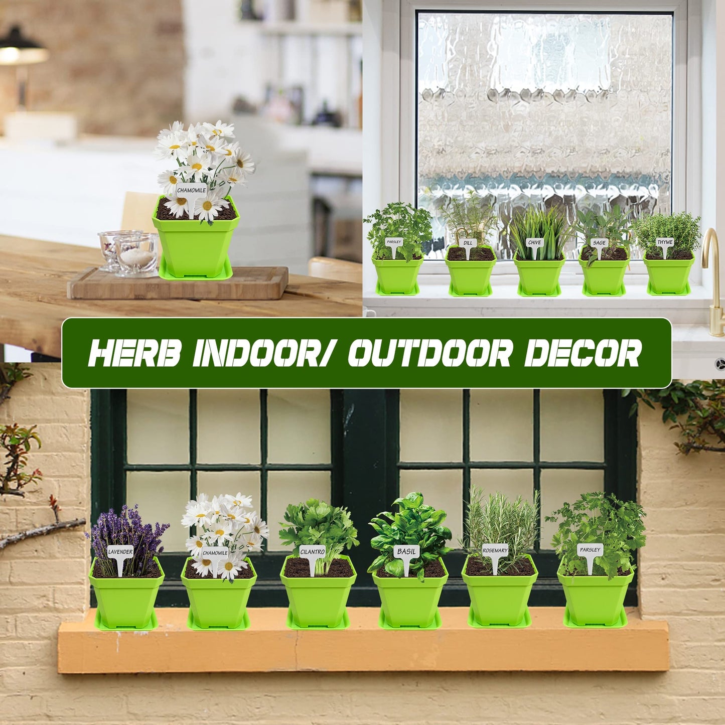 Meekear 10 Herb Seeds Garden Starter Grow Kit with Green Pots, Markers, Soil Discs, Watering, Herb Clipper, Complete Indoor Potted Plant Growing Set for Kitchen DIY
