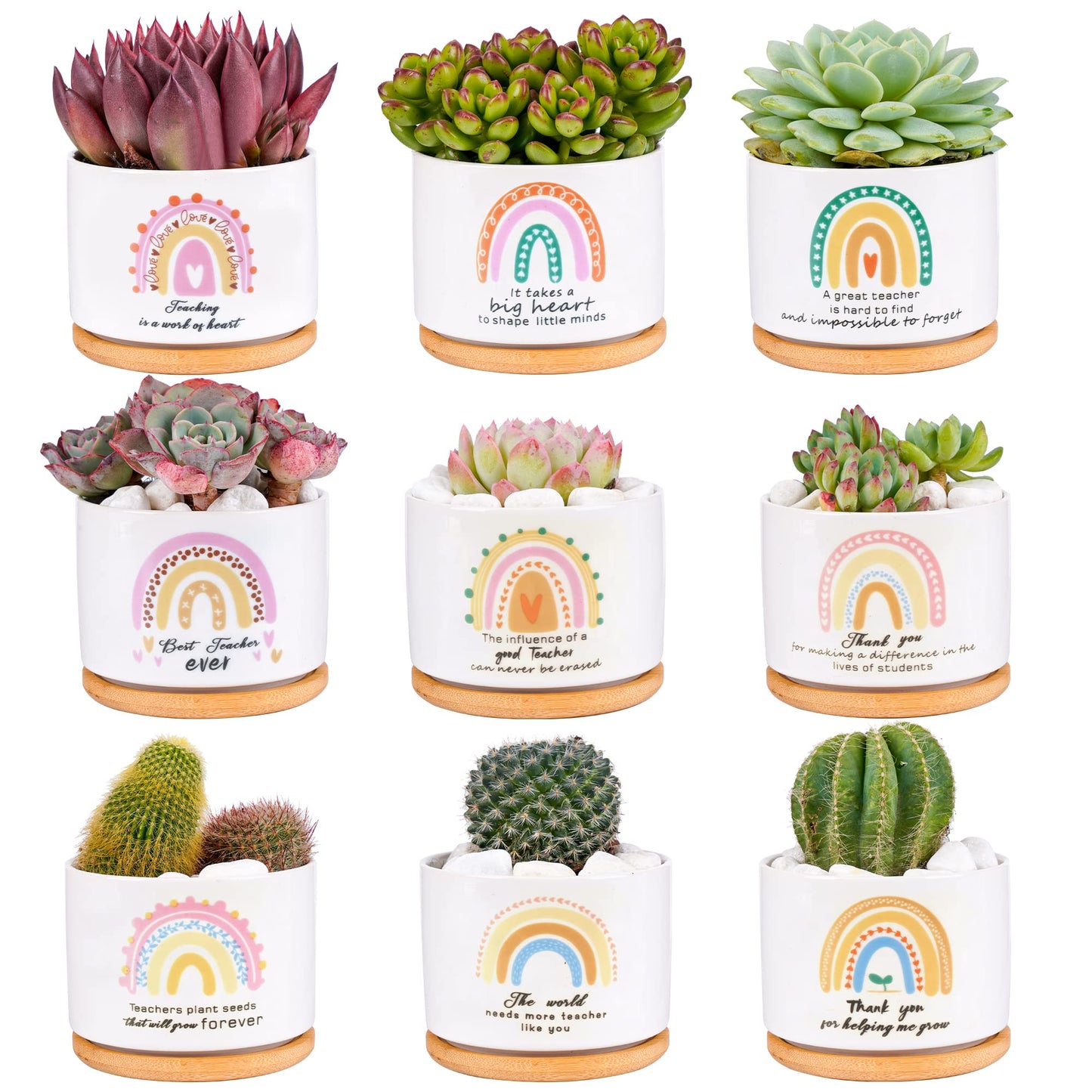 Kolewo4ever 9 Pieces Teacher Appreciation Gifts Ceramic Succulent Plant Pot Small Flower Planter Rainbow Funny Cute Succulent Accessories for Best Teacher Gift Plant Not Included
