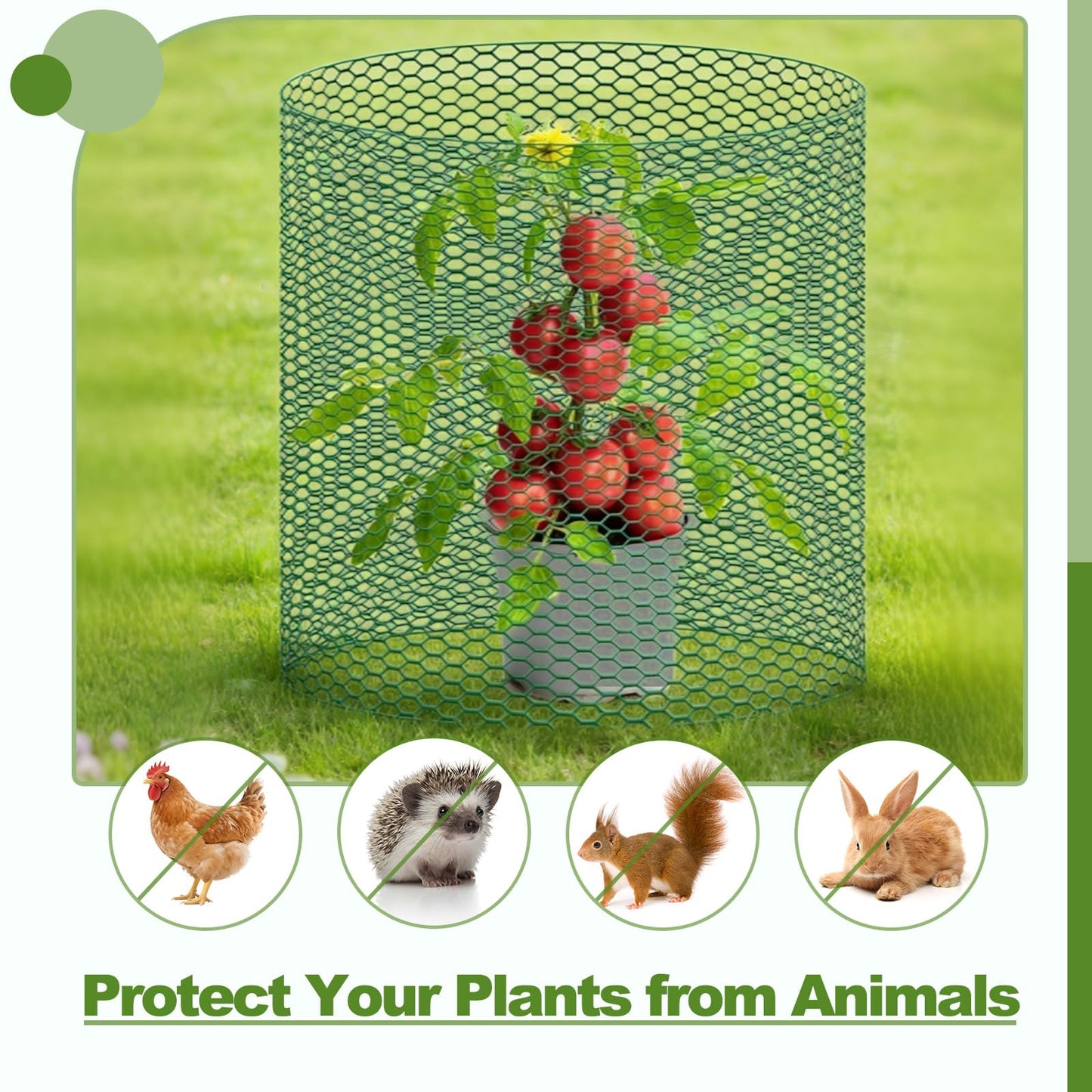 All-in-One 200 Inch Plant Protectors from Animals Kit - 0.85mm Heavy Duty Chicken Wire Cloche,Free-Cut Wire Mesh Roll Includes Pliers, Gloves, Ties, Stakes for Custom Outdoor Cages (16 * 200 Inch)