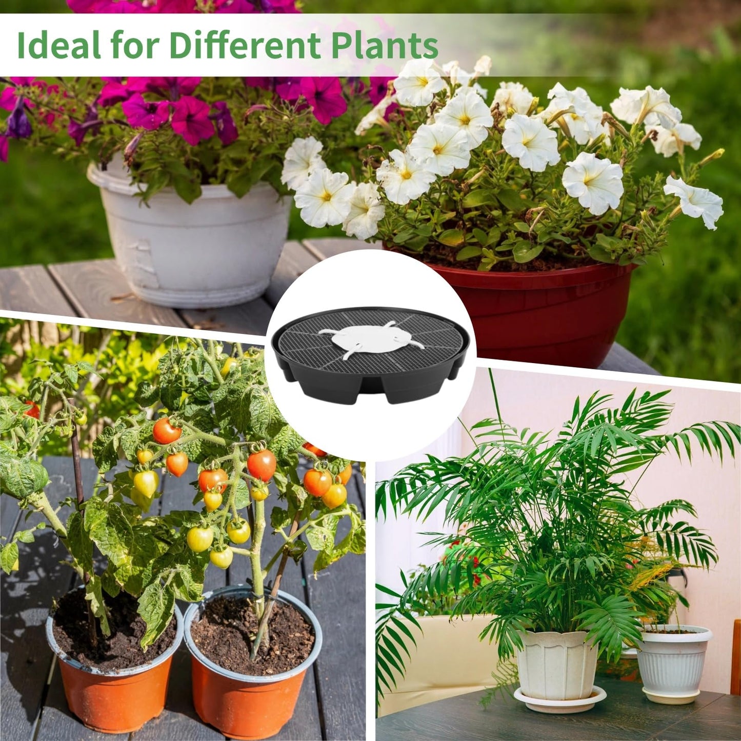 Homaisson 4 Pcs Self-Watering Plant Saucers, Indoor Auto Watering Fabric Pot Bases, Round Plastic Drip Trays for Plant Growth Bags, Provide Stable Support and Prevent Leakage