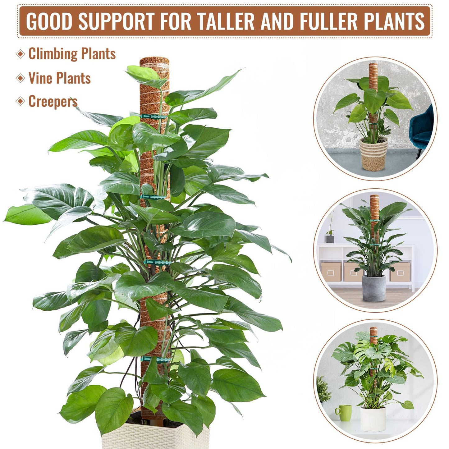 4 Pcs 12 Inches Coir Totem Pole With 8 Pcs Adjustable Plant Twist Ties - Moss Stick for Creepers Plant Support Extension, Climbing Indoor Plants