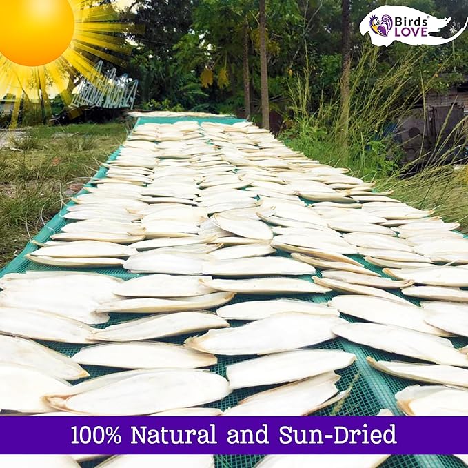 Birds LOVE 5.5-6″ Cuttlebone for Birds – 100% Natural Sun-Dried Calcium & Beak Conditioning Supplement for Parakeets, Budgies, Cockatiels, Finches & Canaries – 3 Pack with Holder – Made in Vietnam