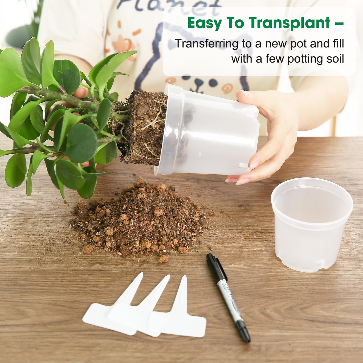 Rsipelsk 30 Pcs 3.5 Inch Clear Nursery Pots for Plants, Transparent Plastic Plant Pots with Drain Holes, Seed Starter Pots with 20 Plant Labels for Flowers Vegetable Seedlings