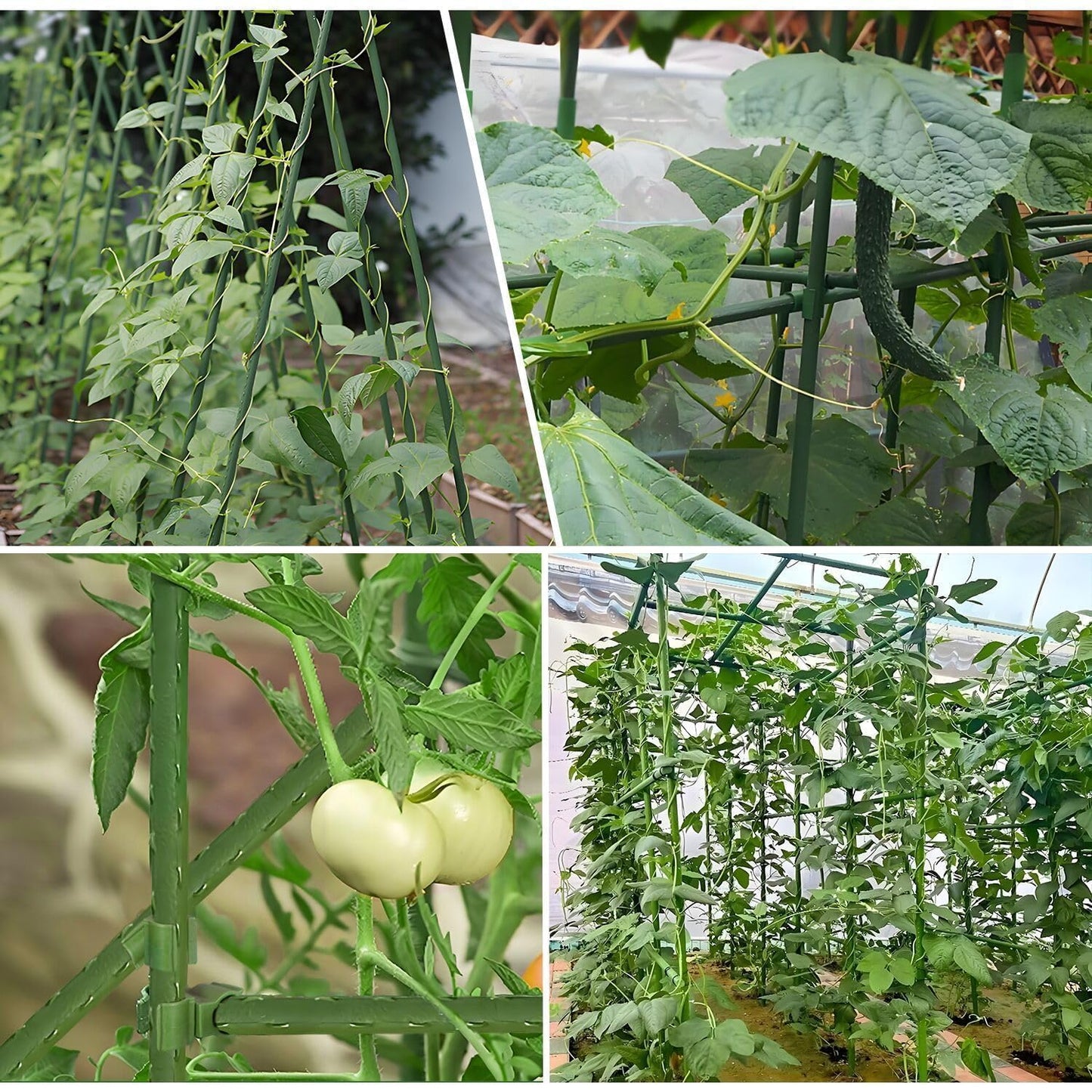 Sturdy Garden Stakes 18 Inch SupKing DIY 3/4/5/6/7ft Tomato Support Stake Green Plastic Coated Metal Tall Plant Stick Poles Plants Trellis for Indoor Outdoor Climbing Cucumber Chili Eggplant-20 Packs
