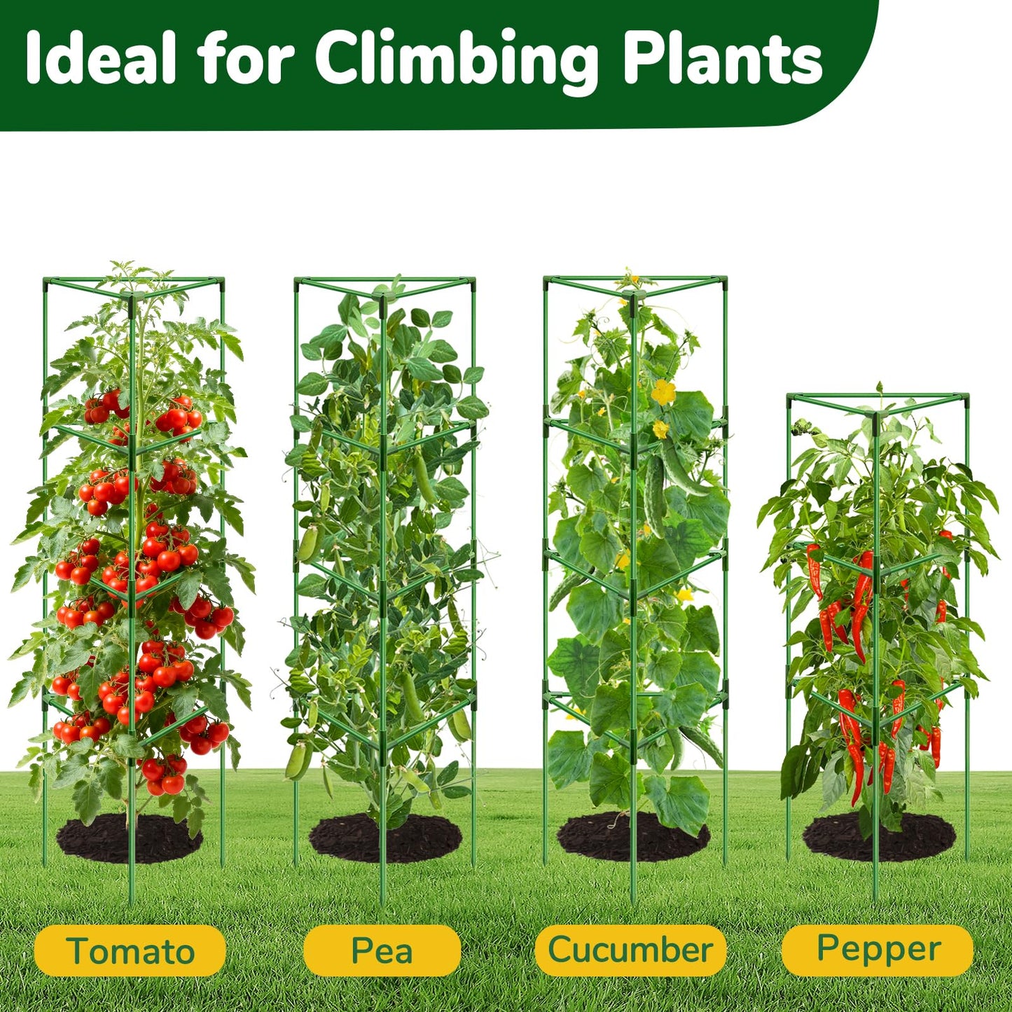 ZeeDix [Upgraded] 2 Pack Heavy Duty Tomato Cages for Garden, 57 Inch Foldable Plant Support Stakes for Heavy Climbing Plants, Adjustable Tomato Trellis for Pots Indoor & Raised Garden Bed Outdoor