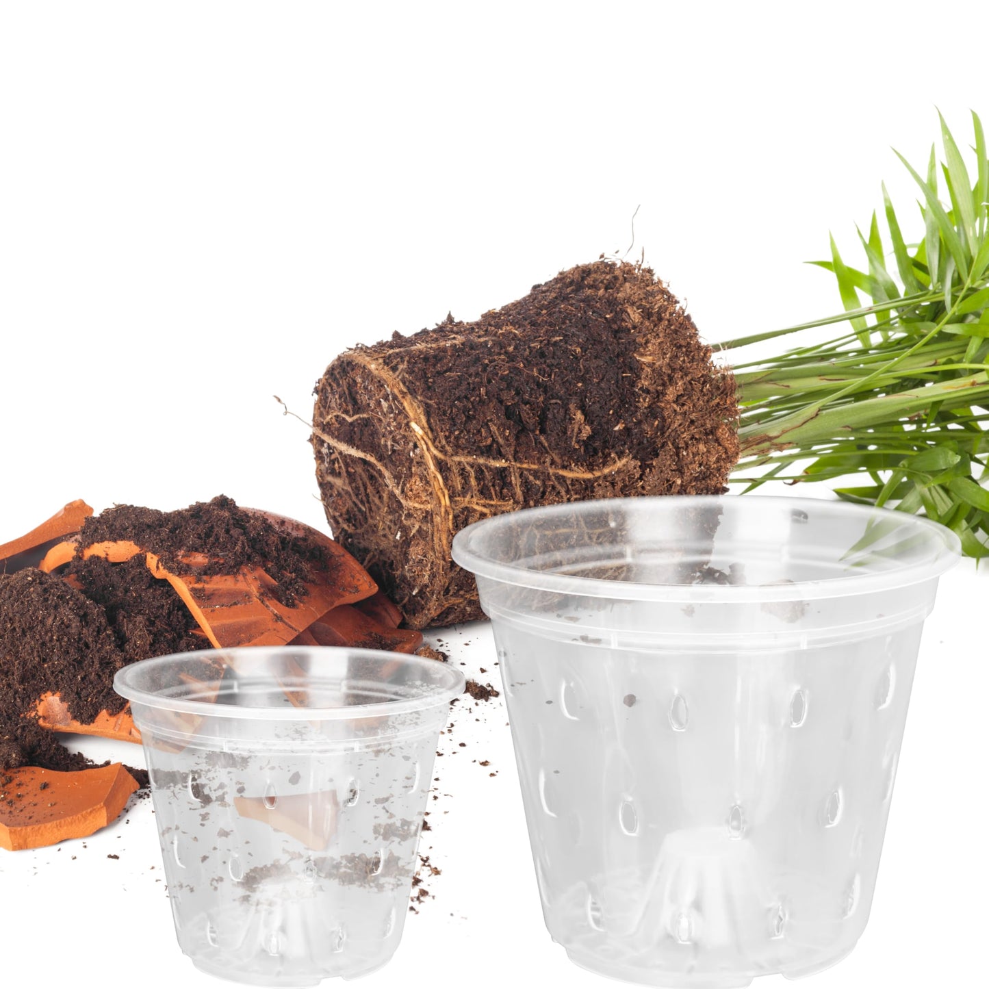 AUGXIXI Orchid Pots, 5.7 Inch 10Pcs Clear Orchid Pots with Holes and Saucers, Plastic Plants Flower Nursery Orchids Drainage Indoor Planter for Planting Repotting