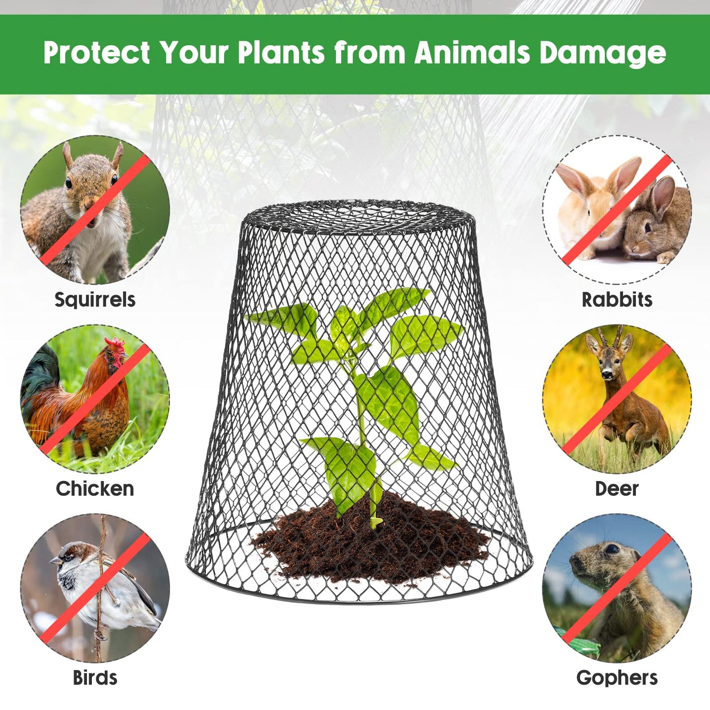 Geosar 20 Pcs 9 Inch Chicken Wire Cloche Plant Protector Cover Metal Garden Cloche Netting Protection Cages Vegetables Flowers with Garden Stakes Avoiding Chicken Rabbit Squirrels Birds (Black)