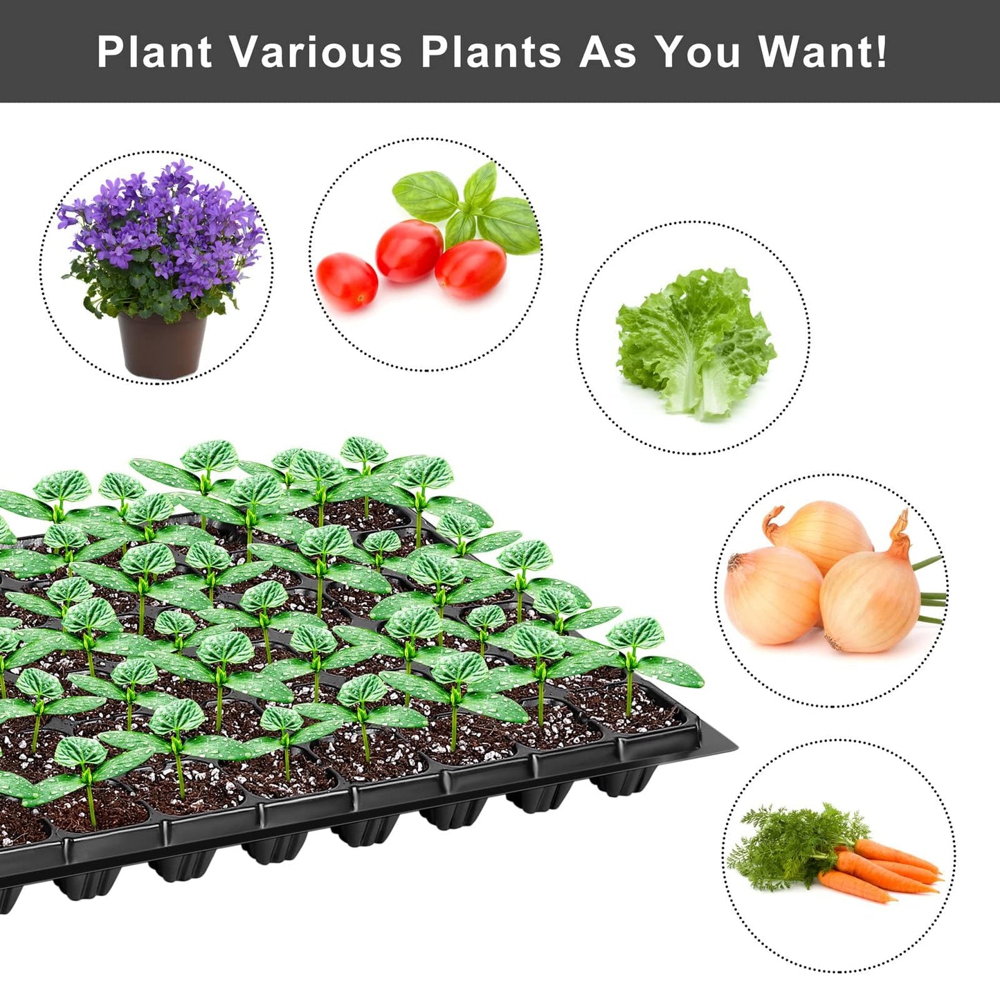 Elcoho 15 Pack Seed Starter Trays 72 Cells Seedling Trays Kit with 1080 Cells Plant Nursery Pots Plastic Plant Grow Plug Trays Mini Propagator for Garden Plant Germination, 21.3 x 11 Inches