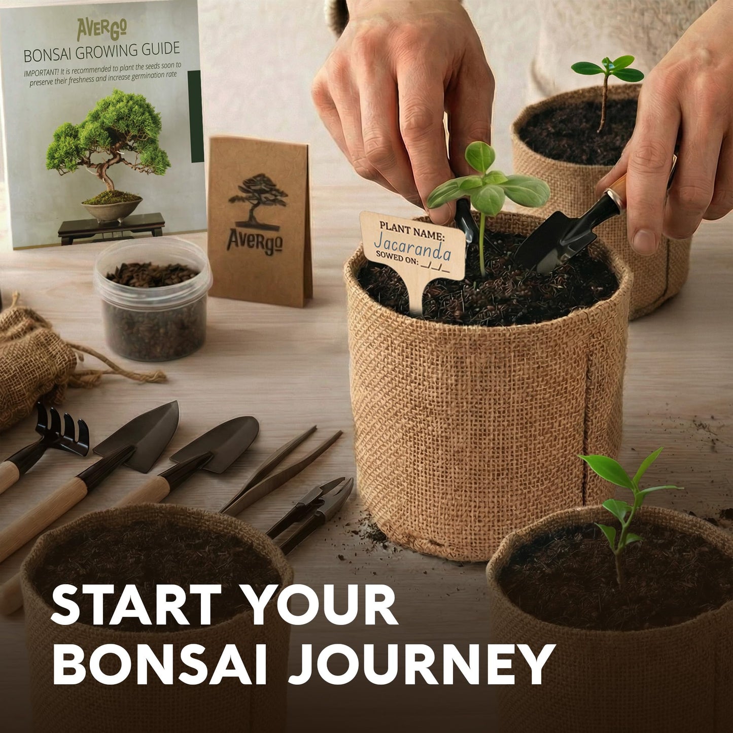 AVERGO Bonsai Tree Kit Classic - 5X Unique Japanese Bonzai Trees | Complete Indoor Bonsai Starter Kits for Growing Trees – DIY Gardening Gifts for Mother, Women & Men