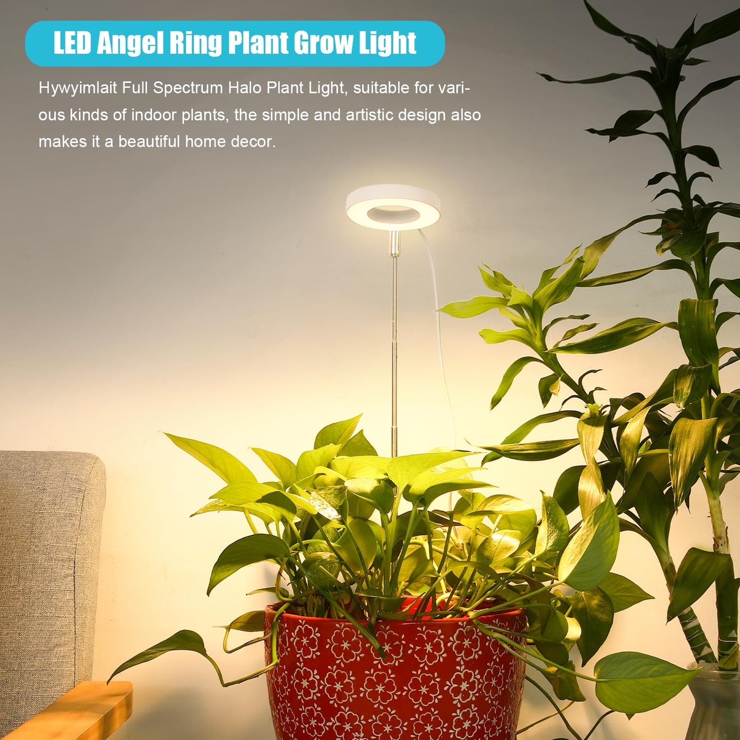 Halo Ring Grow Lights for Small Indoor Plants, Warm+White 96LEDs Full Spectrum Plant Light, Height Adjustable with Adapter, 3/9/12H Timer, 3 Spectral Modes, 10 Dimmable Levels, Angel Ring 2 Pack