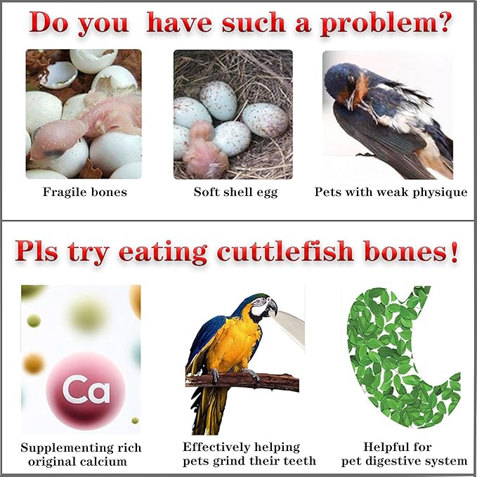Bird Cuttlebone for Parakeets Cuttlebone for Birds - Natural Cuttlefish Bone Bulk Chew Toy Bird Bites Calcium Stone for Canaries Tortoises,Snails,Reptiles,Parrots,Cockatiel
