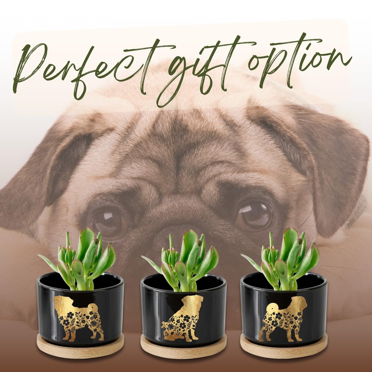 InnoBeta Pug Gifts Succulent Plant Pots 3pcs, Gifts for Pug Lovers, Planter Pot with Bamboo Tray, Plants NOT Included, Cute Ceramic Pots for Birthday, Christmas