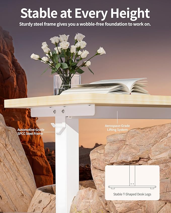 BIZUM Standing Desk Electric Adjustable Computer Desk-Stand up Desk Office