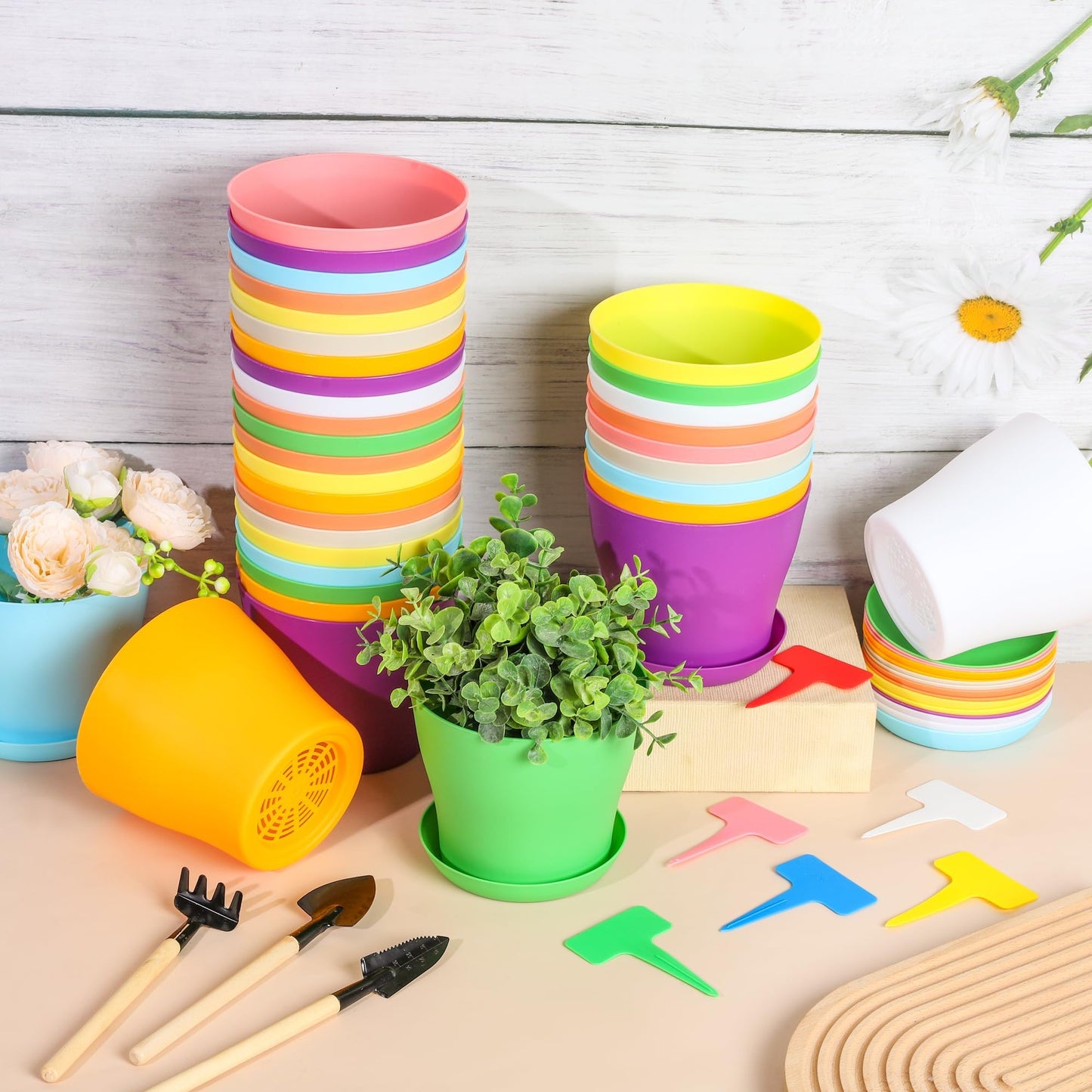 Hahood 48 Pack Plastic Planters 5.5 Inch Flower Plant Pots Indoor Set Thickened Seedling Nursery Pots Seed Starting Pots with Drainage Holes Saucers Mini Garden Tool for Home Office Garden, Multicolor