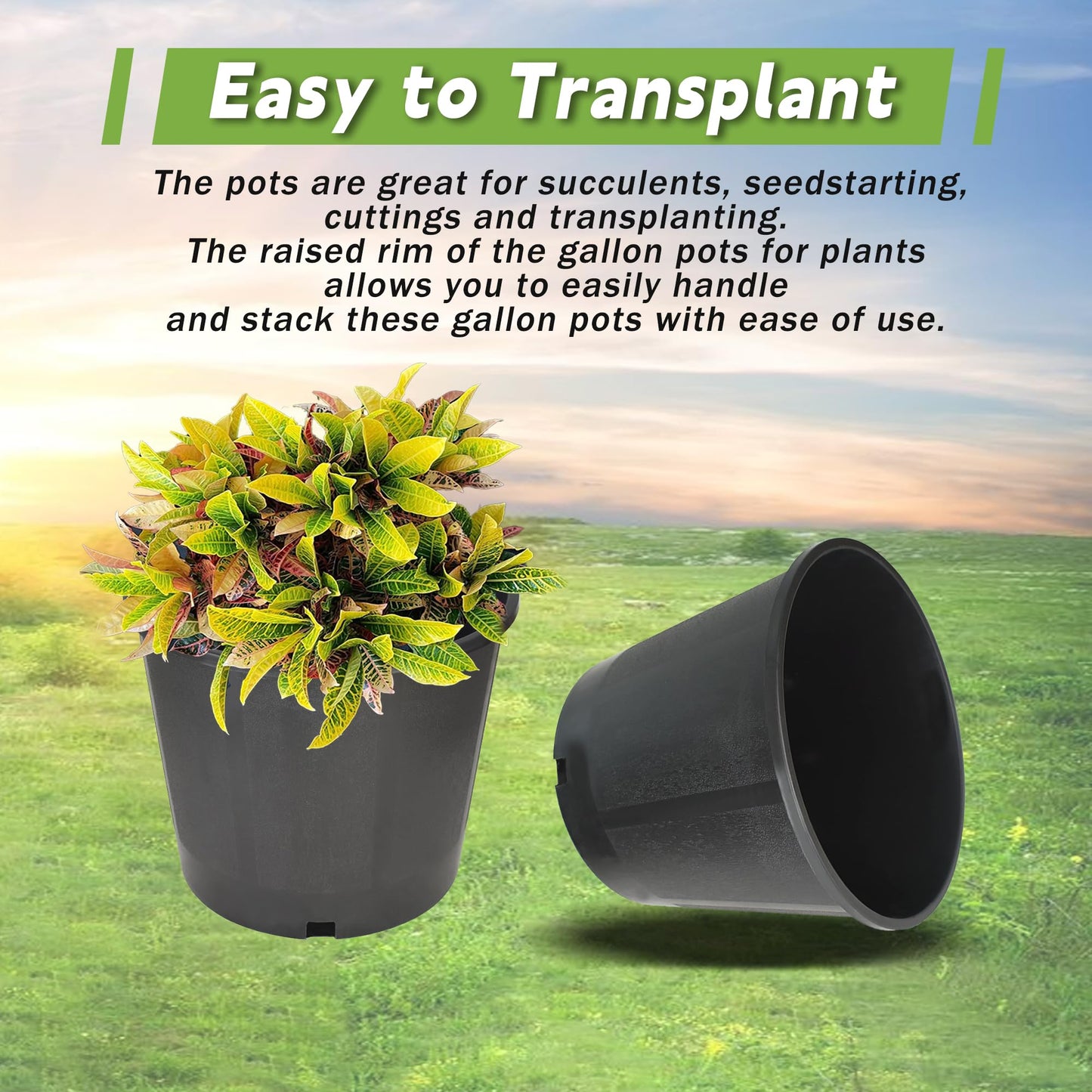 HOSTIC 3 Gallon Flexible Nursery Pots Gallon Pot with Drainage Holes Plastic Plant Container Suitable for Indoor Outdoor Vegetables Flowers Plants 10 PCS