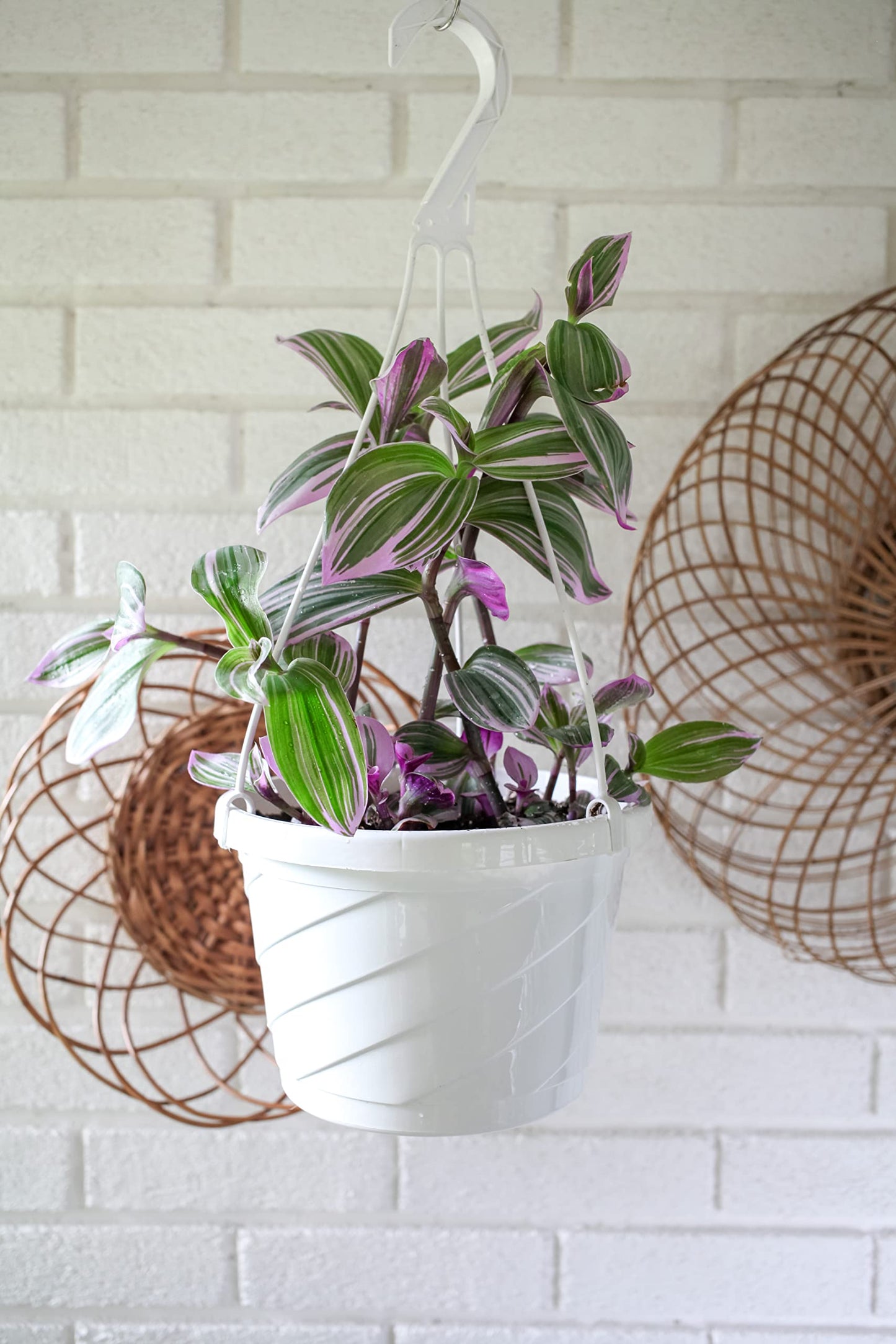 The HC Companies 12 Inch Euro Hanging Planters, Lightweight UV-Resistant Plastic Hanging Planters for Indoor & Outdoor Plants, 2-Pack Hanging Flower Pots for Garden, Patio & Home Decor, Clay