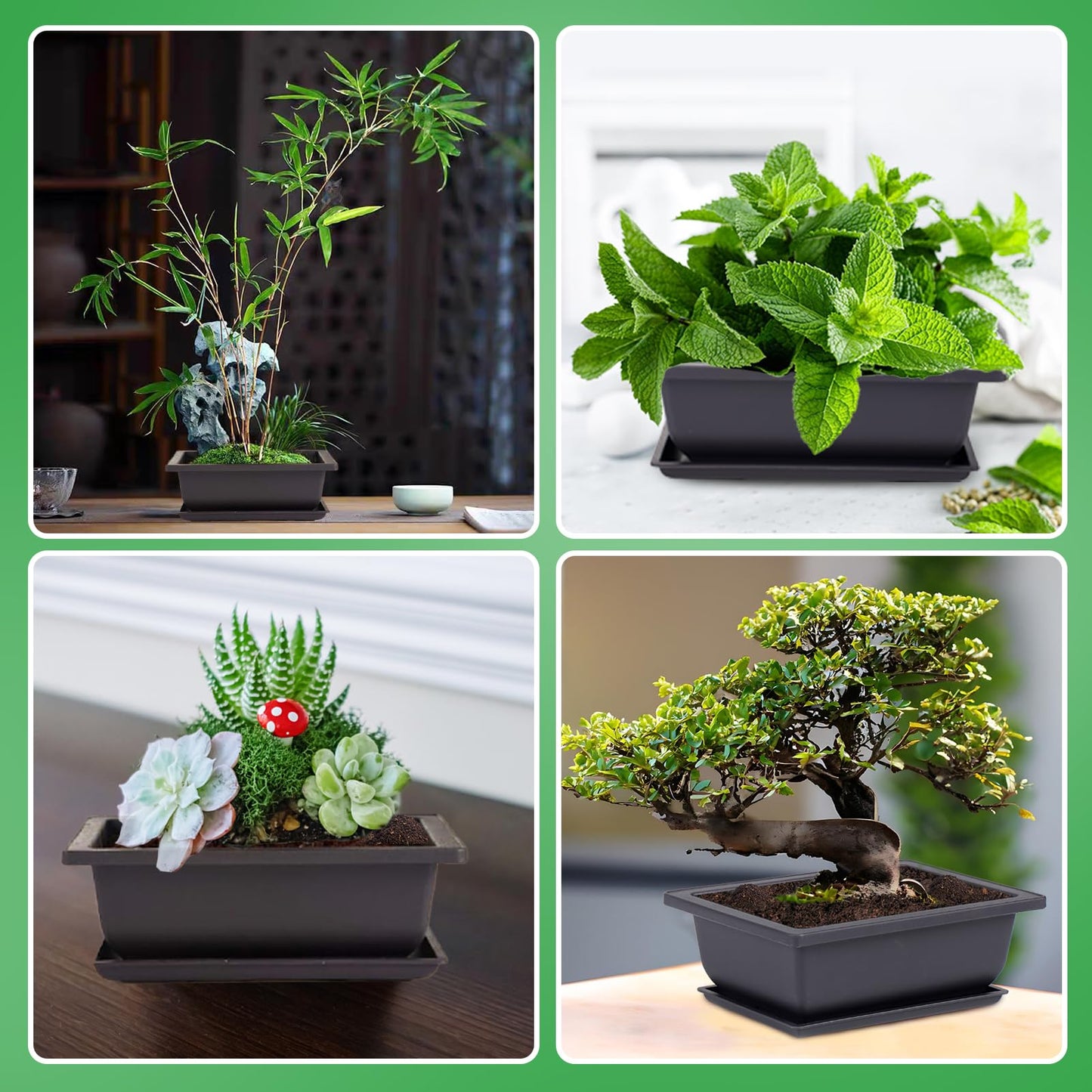 PAMASE 8 Packs Bonsai Training Pot with Humidity Tray - 6.5in & 9in Training Nursery Pots Kit, Plastic Plants Growing Planter with Drainage Tray, Indoor Succulents Decor Garden