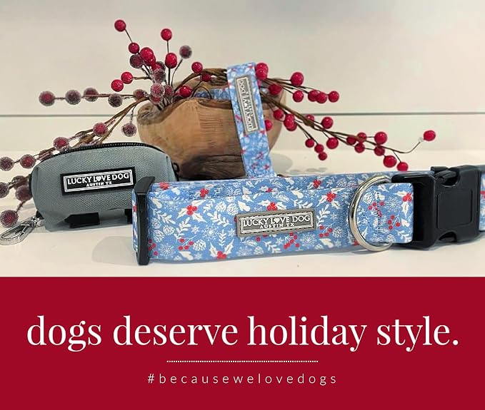 Lucky Love Dog Martingale Dog Collar - Adjustable, No-Slip, Durable, & Soft Webbing Collar for Male and Female Dogs Ideal for Training & Walking - Winterblue, Small