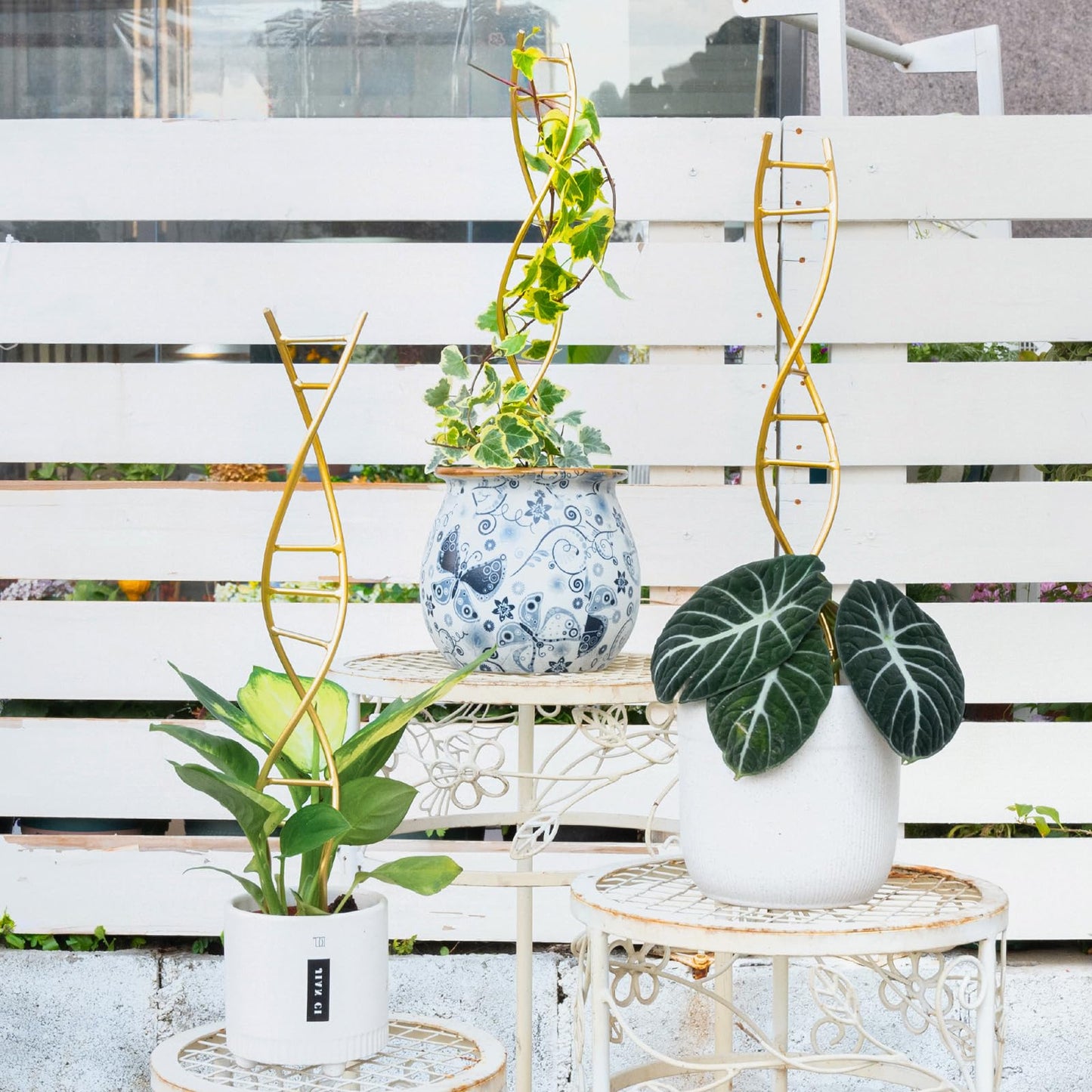 GOOOXIM Indoor Plant Trellis for Potted Plants - Durable Metal Climbing Trellis with Unique DNA Spiral Design for Vining Plants, Easy Installation for Indoor & Outdoor Use