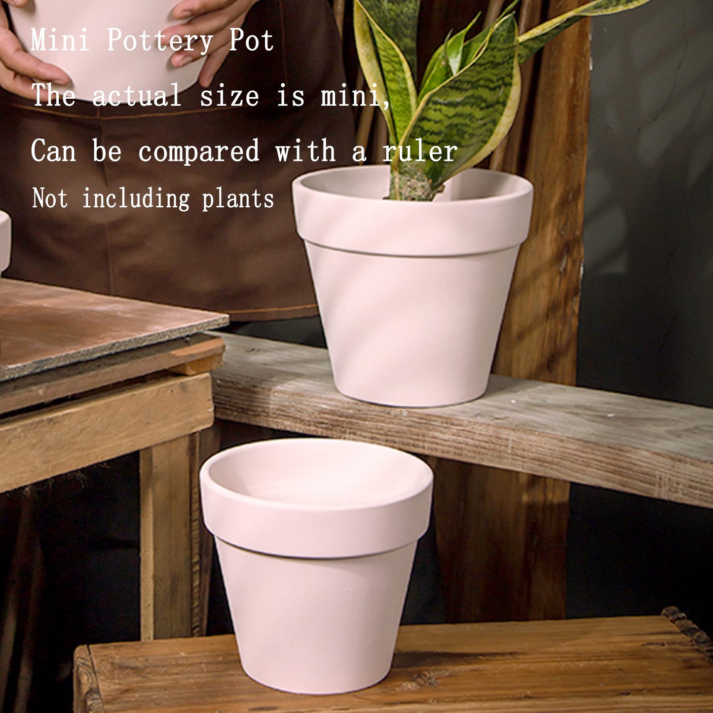 XXYXXY 40 Pieces 2.95 inch Mini with Drain Holes Juicy Flowerpots Home Office, Windowsill, Wedding Decoration Flowerpots（White）