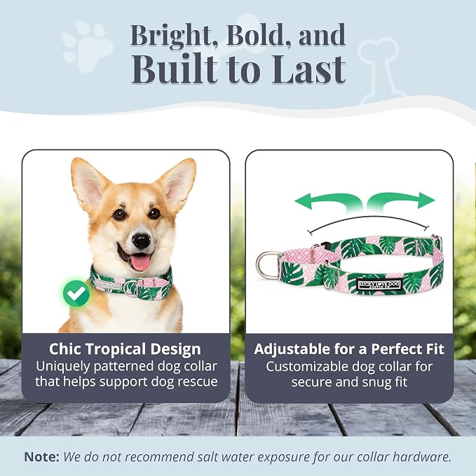 Lucky Love Dog Martingale Dog Collar & Leash - Adjustable, No-Slip, Durable, Comfortable, Soft Webbing, & Stylish Patterned Collar & Leash Set for Male and Female Dogs - Laguna Mart Combo, Small