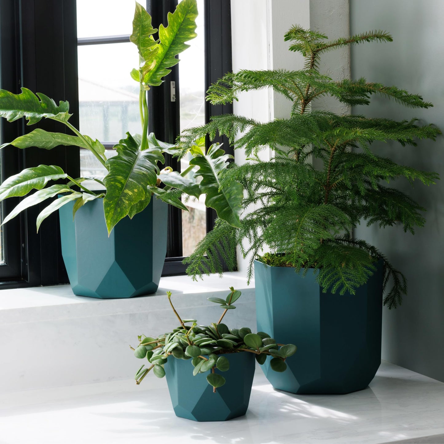 Bloem Tuxton 6" Modern Plastic Planter - Geometric Indoor/Outdoor 0.5 Gal Capacity Pot, Charleston Green