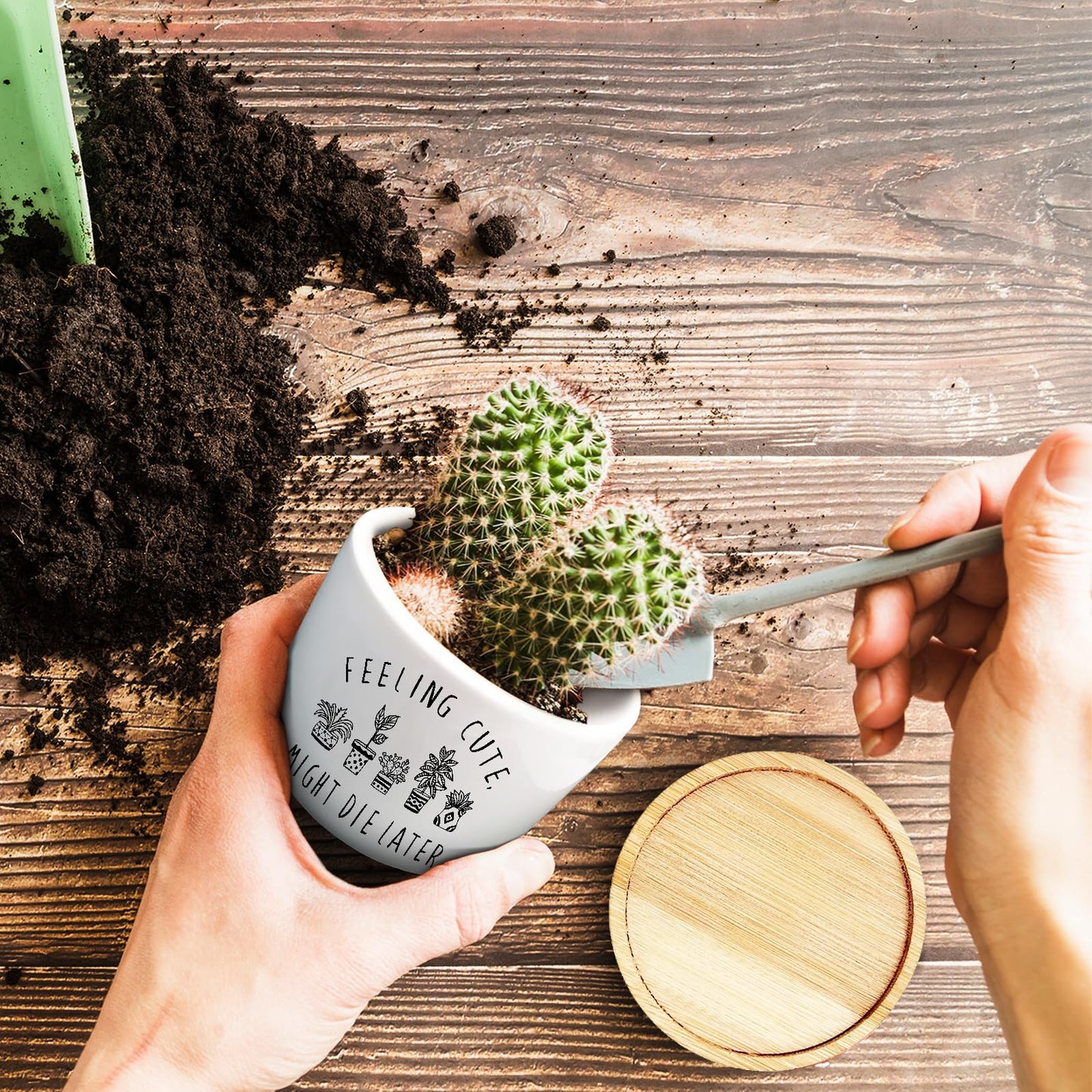 Jutasty Funny Succulent Plant Pot, Small Flower Planter for Indoor Plants, Cute Ceramic Cactus Planter Pots with Drainage, Windowsill Desk Decor Unique Planter Gift, Feeling Cute (No Plants)