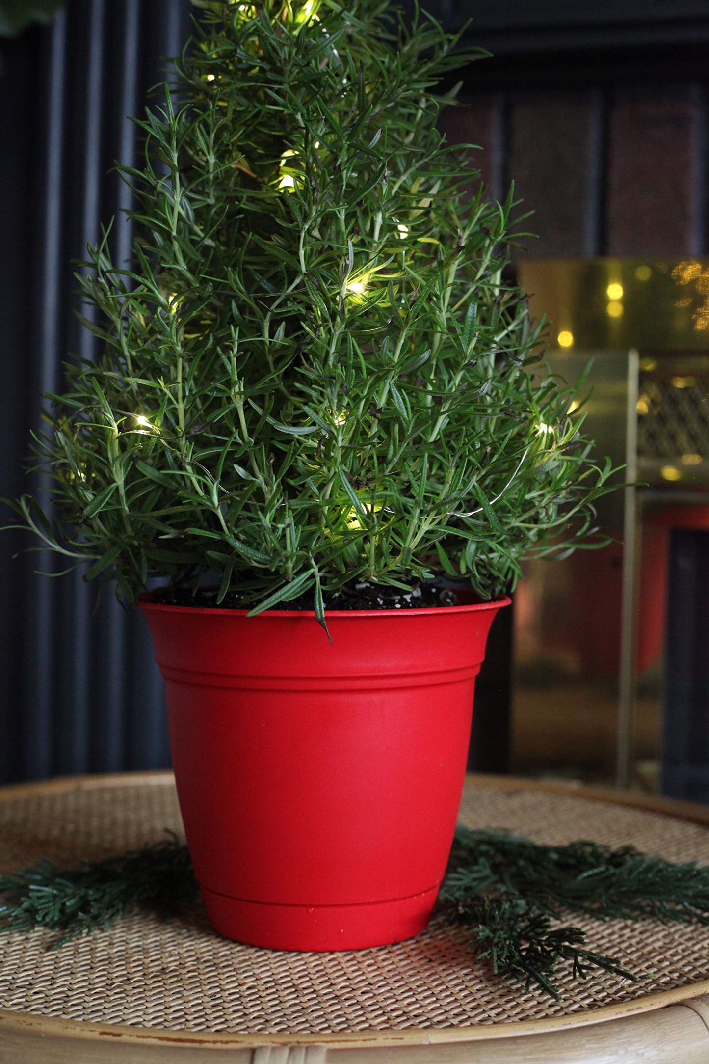 The HC Companies 8 Inch Eclipse Round Planter with Saucer - Indoor Outdoor Plant Pot for Flowers, Vegetables, and Herbs, Strawberry Red (Pack of 2)