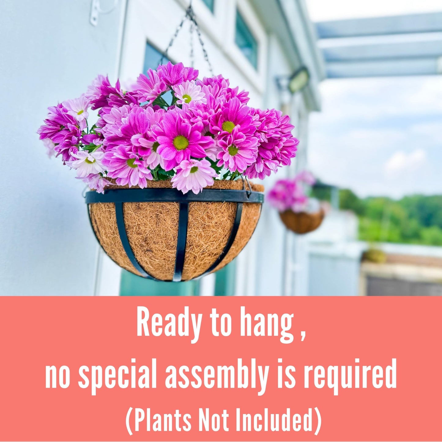 LaLaGreen Outdoor Hanging Baskets for Plants (12 Inch, 2 Pack) Medium Black Hanging Planters with Coco Liner, Metal Flat Iron Flower Pots for Deck Patio Porch Modern Garden Balcony Outside Decoration