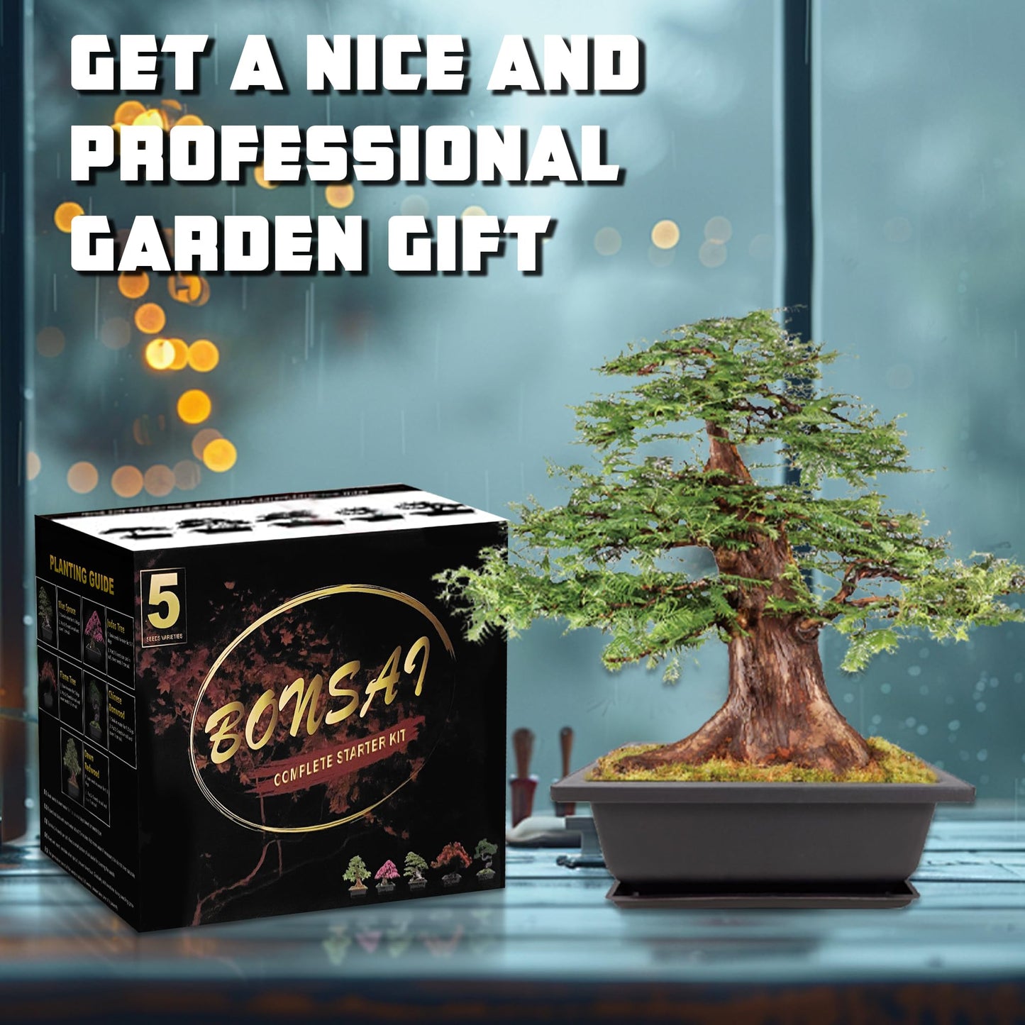 Bonsai Starter Kit, Growing Set Including Complete Gardening Tools with A Gift Box, Gifts for Women