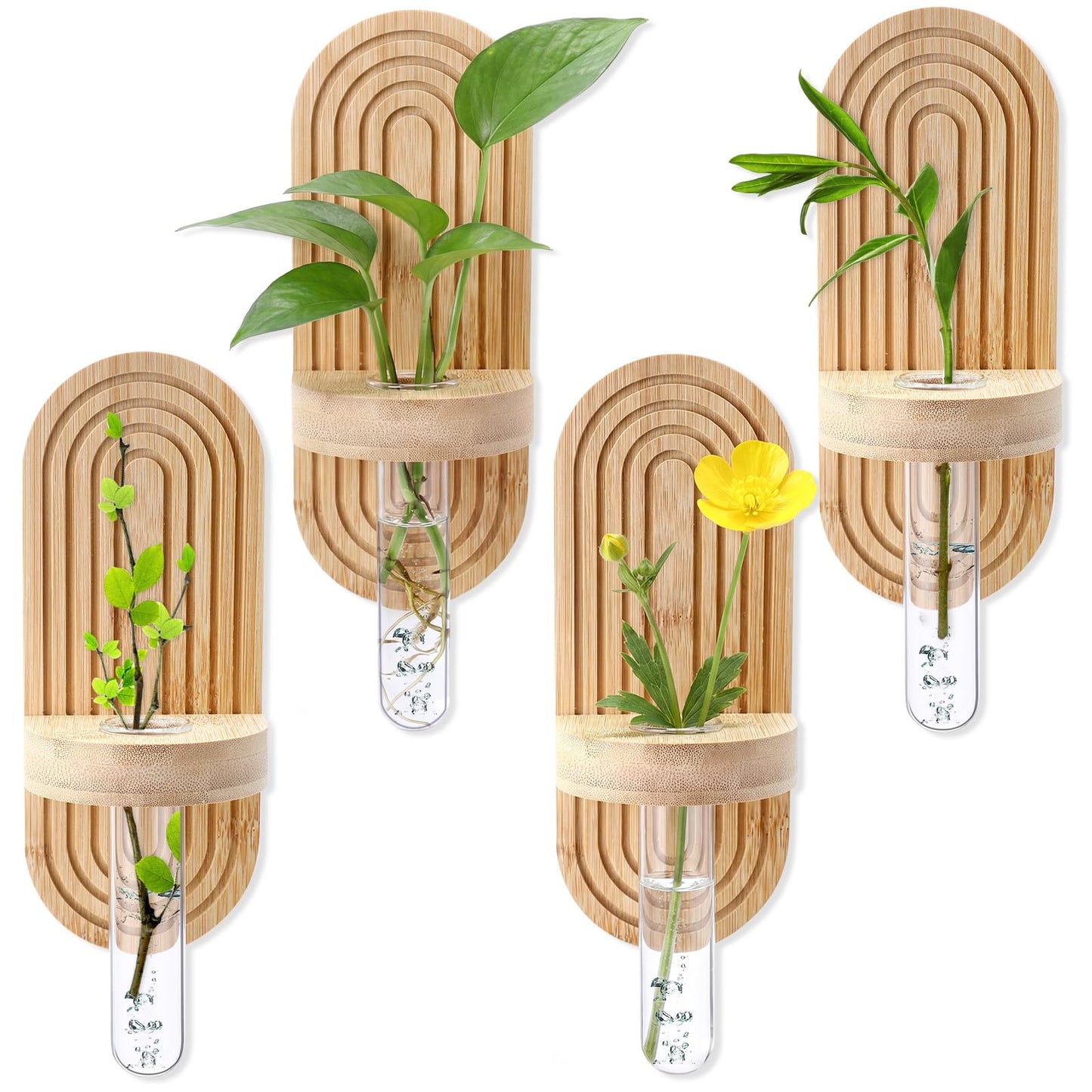 Beeveer 4 Sets Hanging Plant Propagation Stations Bamboo Wood Wall Mounted Test Tube Vase Rustic Decorative Glass Planter Holder Gift for Women Plant Lover Hydroponic Flowers Home and Office Decor