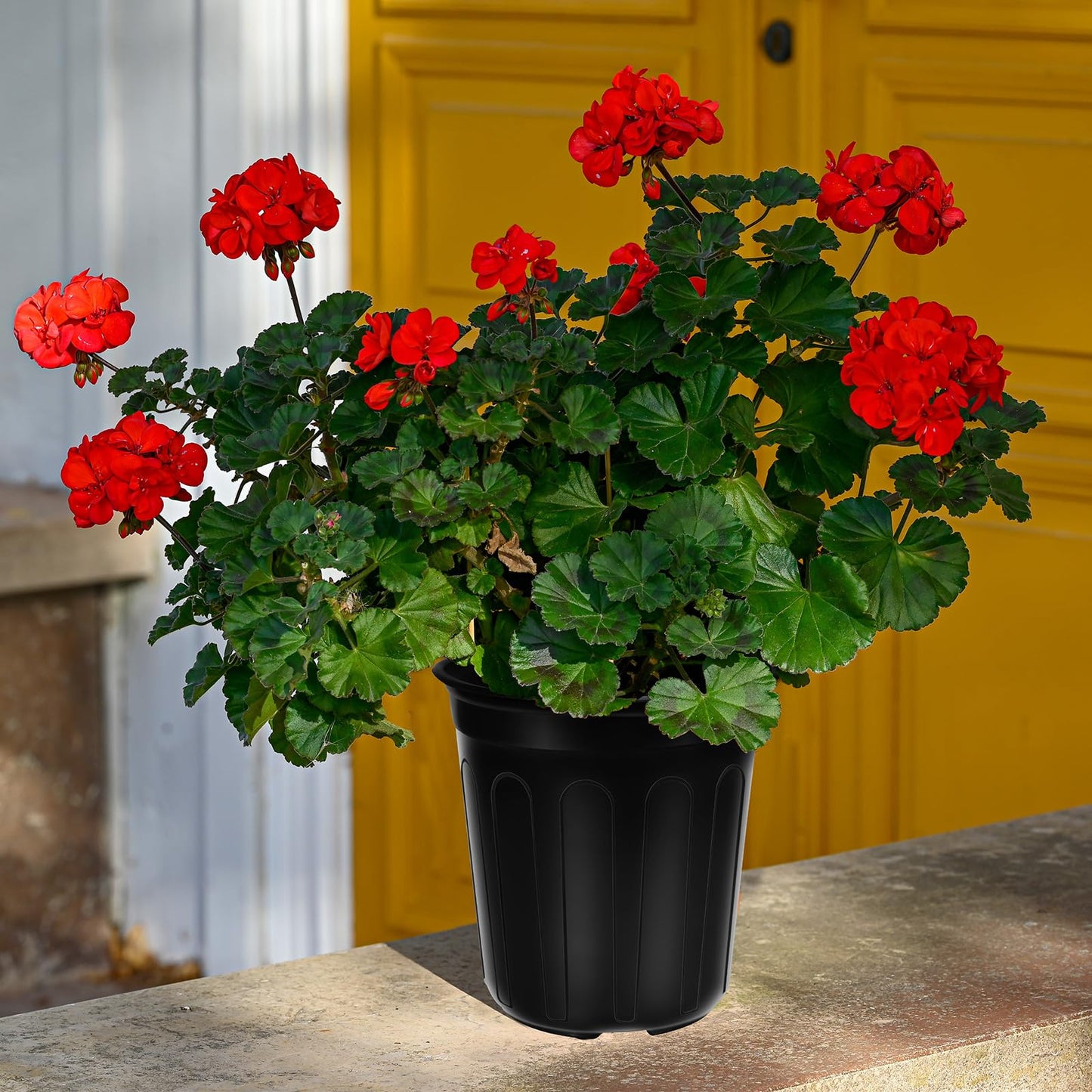 BeapTcely 50 Pcs 1 Gallon Nursery Pots, Flexible Plant Seedling Pots Transplanting Soft Plastic Planters with Drainage Holes for Planting Garden Flower Plant Container Cups Planter (50, 1 Gallon)