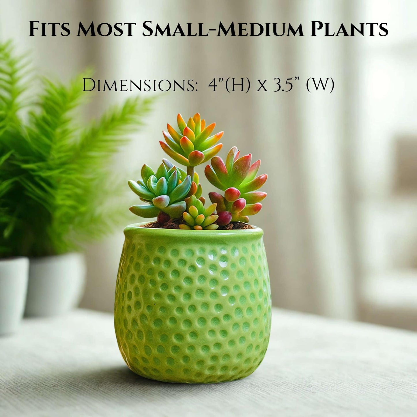 CERAMIQA 4 Inch Ceramic Succulent Planter Pot with Drainage Hole, Small Indoor Plant Pot, Mini Round Flower Pot for Cactus, Herbs & Houseplants, Modern Decorative Planter for Garden (Lime Green)