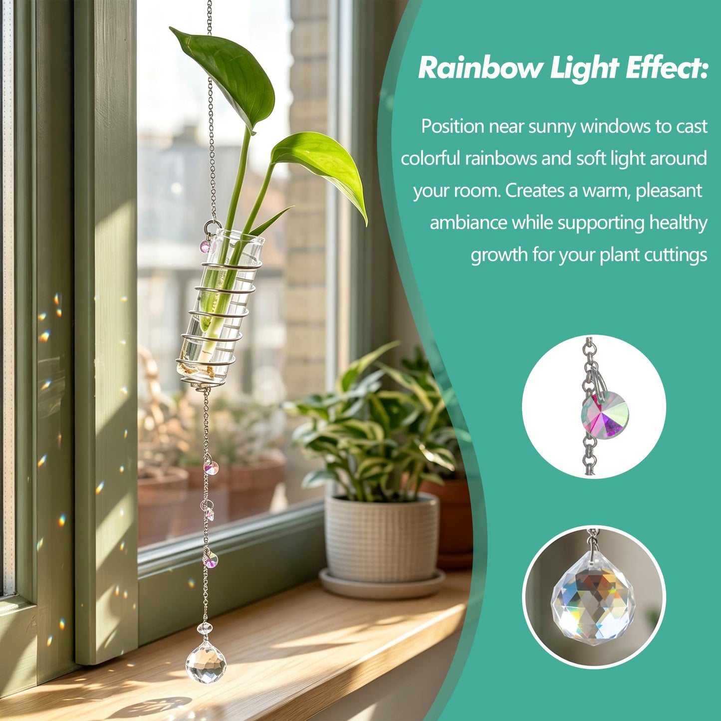 H&D HYALINE & DORA 6 Pcs Hanging Plant Propagation Station with Crystal Ball Prisms Suncatcher and Cleaning Brush, Glass Plant Suncatcher for Indoor Wall Plants Gifts for Plants Lovers(Silver)