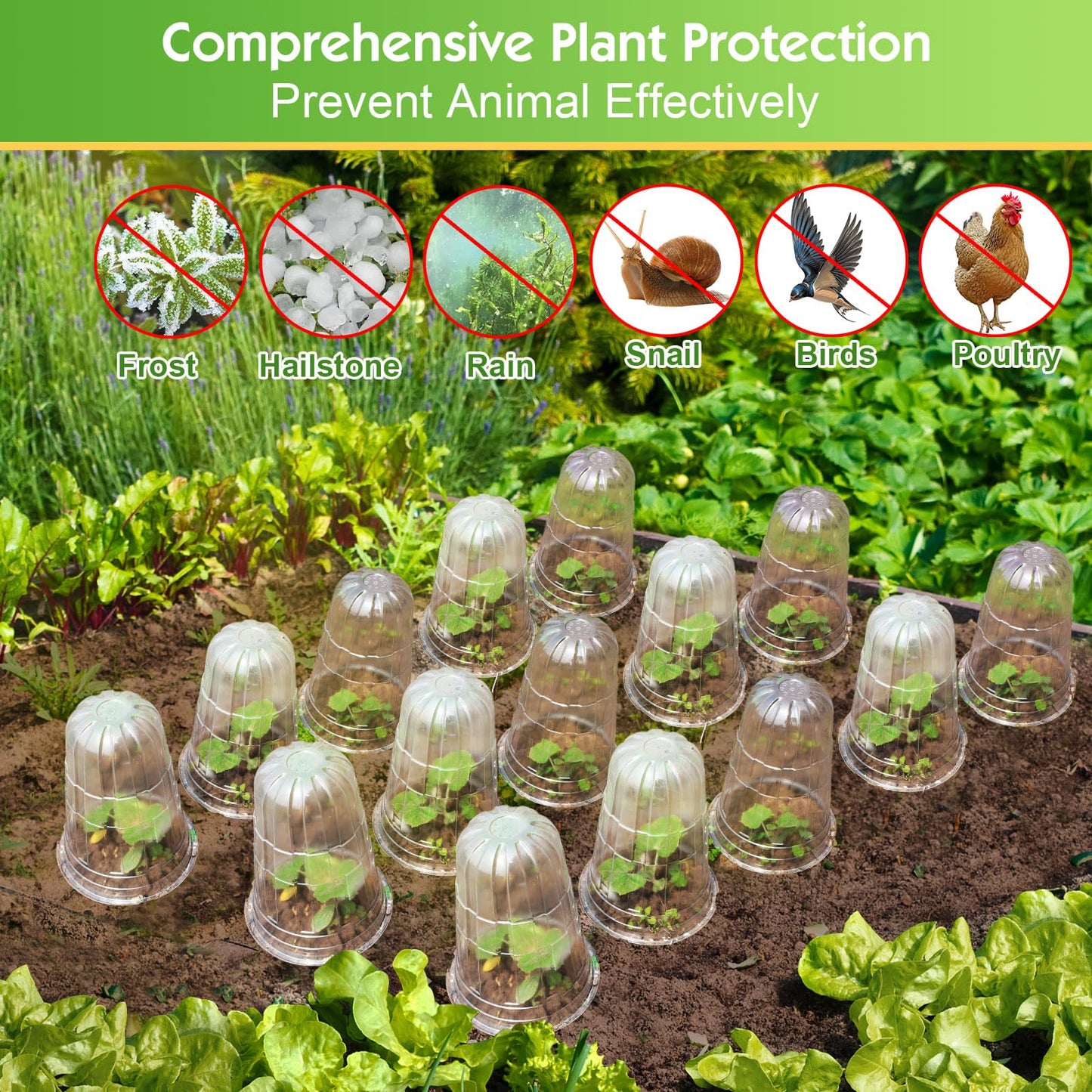 SEOIMU 30 Pcs Upgraded Transparent Garden Cloches for Plants, Reusable Plant Covers, Plant Protectors from Animals for Garden Plants, Plant Covers Freeze Protection, Compatible with Slug Collar