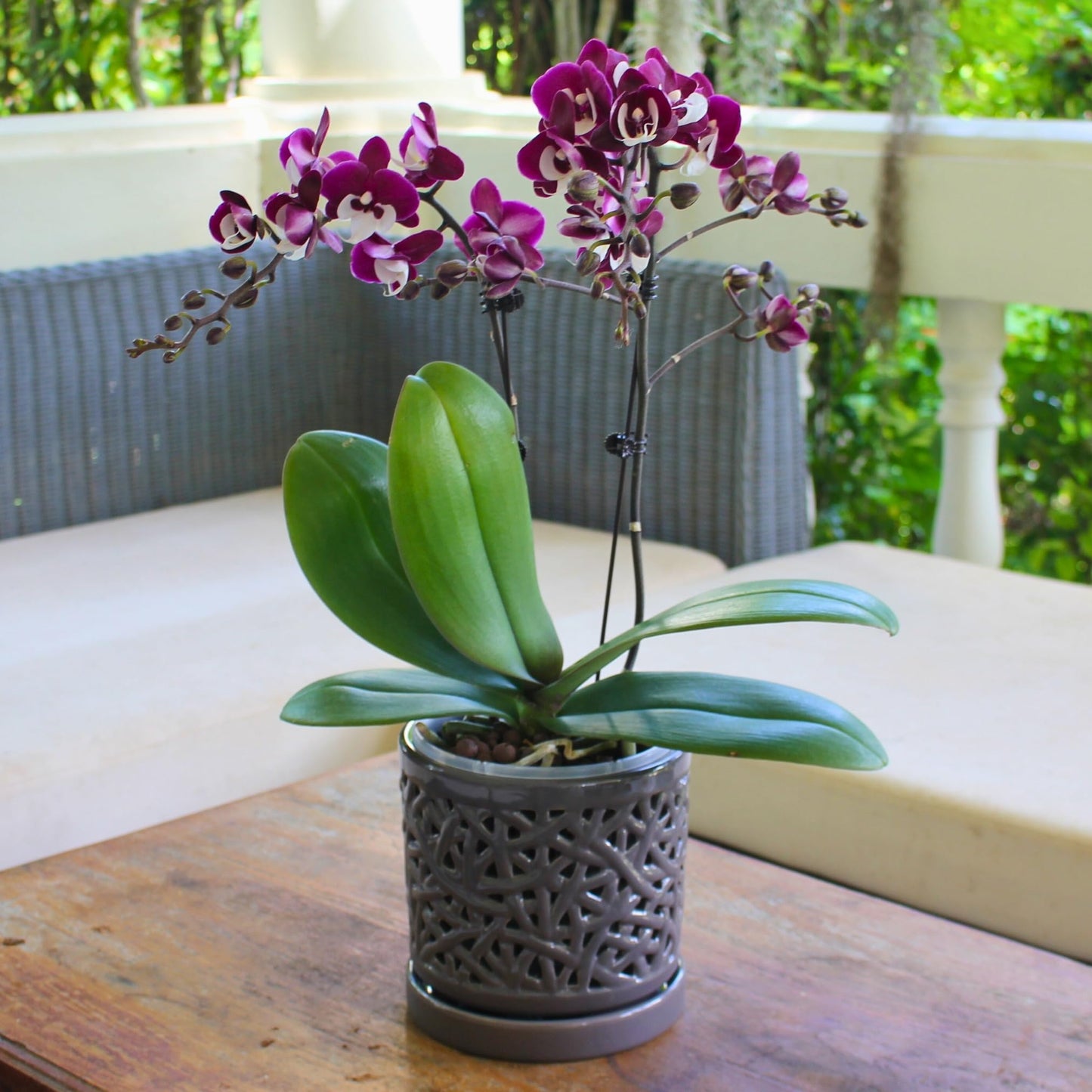 DESQUIGGLE Gray Large Ceramic Orchid Pot with Holes, 6 Inches Wide, for Indoors or Outdoors with Woven String Cut Out Design, Orchid Planters, Orchid Gifts