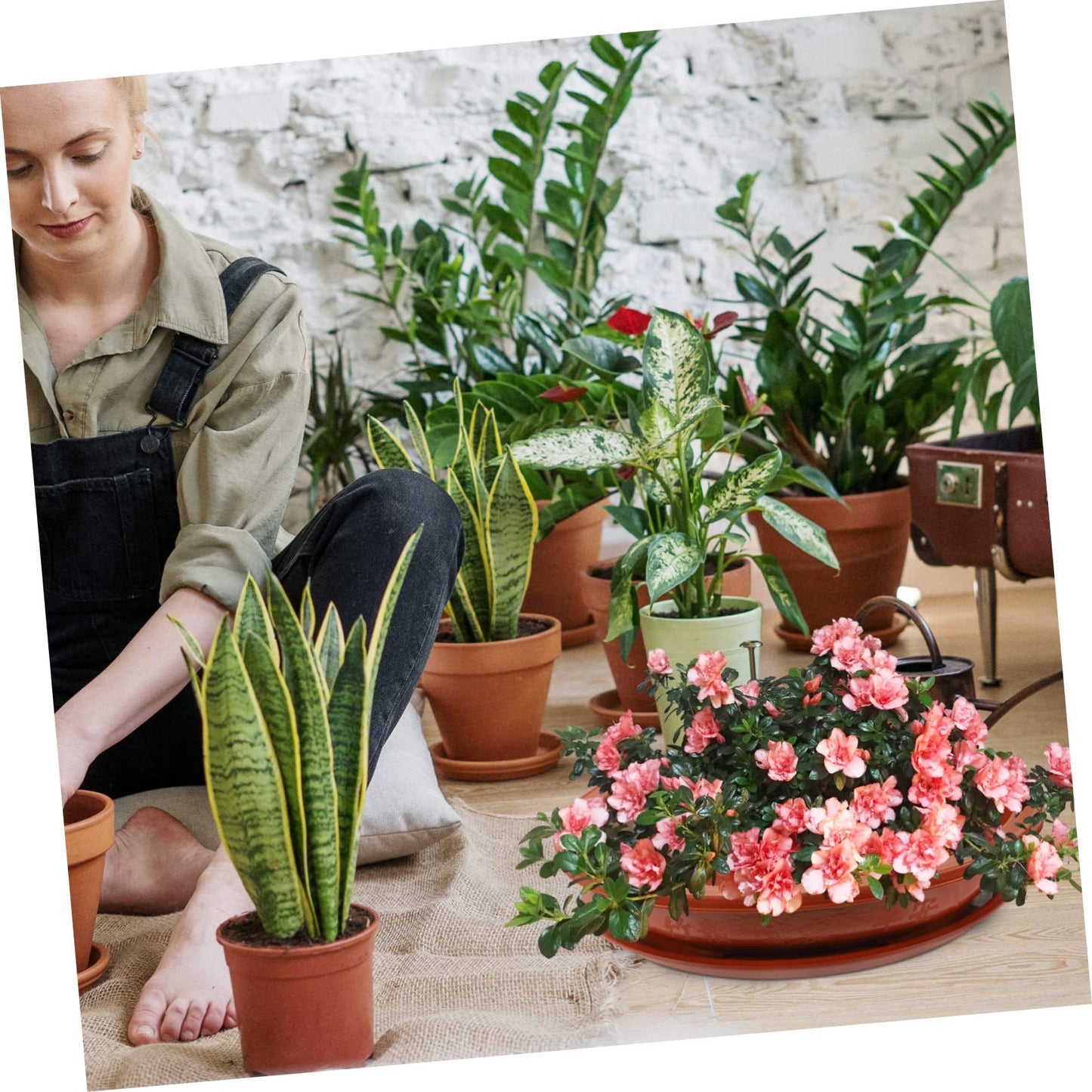 Garneck 1Set Large Oval Bonsai Planting Pot Oval Flower Pot with Tray Plastic Bonsai Planter for Large Flower Pot for Bonsai Trees
