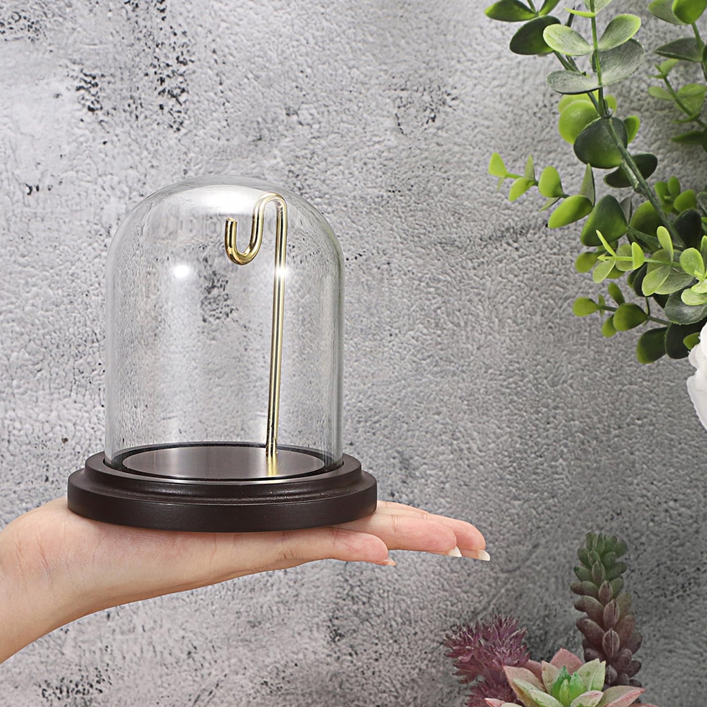 JUXYES 2 Pack Clear Watch Glass Display Dome Cloche With Hook, Dome Cloche with Hook with Wooden Base, Glass Dome Cloche Bell Terrarium Jar Cloche Bell Jar Display for Watch Ornaments